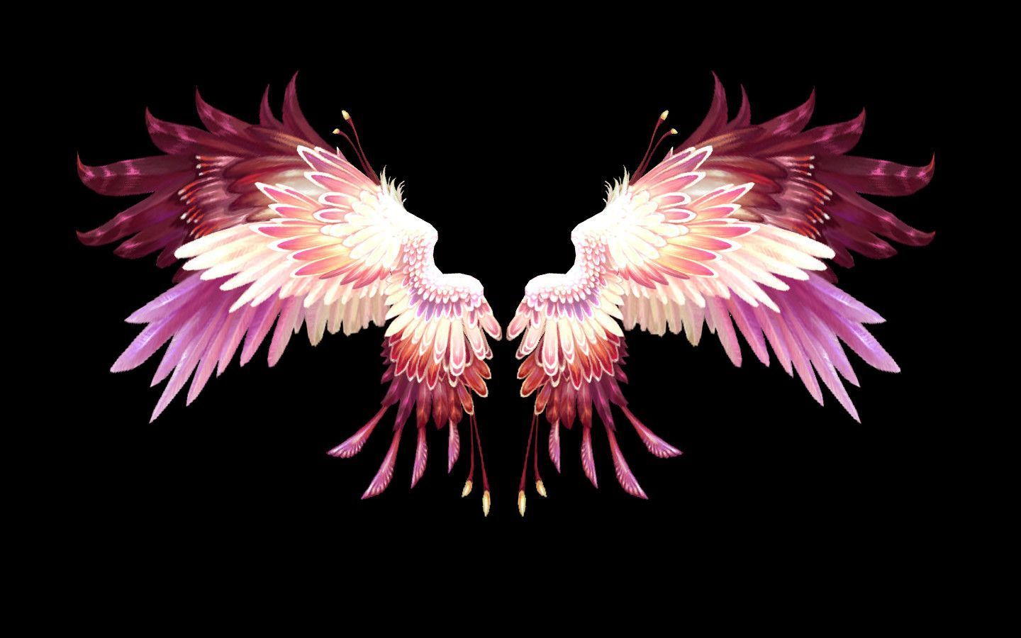 Pink Wings Wallpaper Free Pink Wings Background