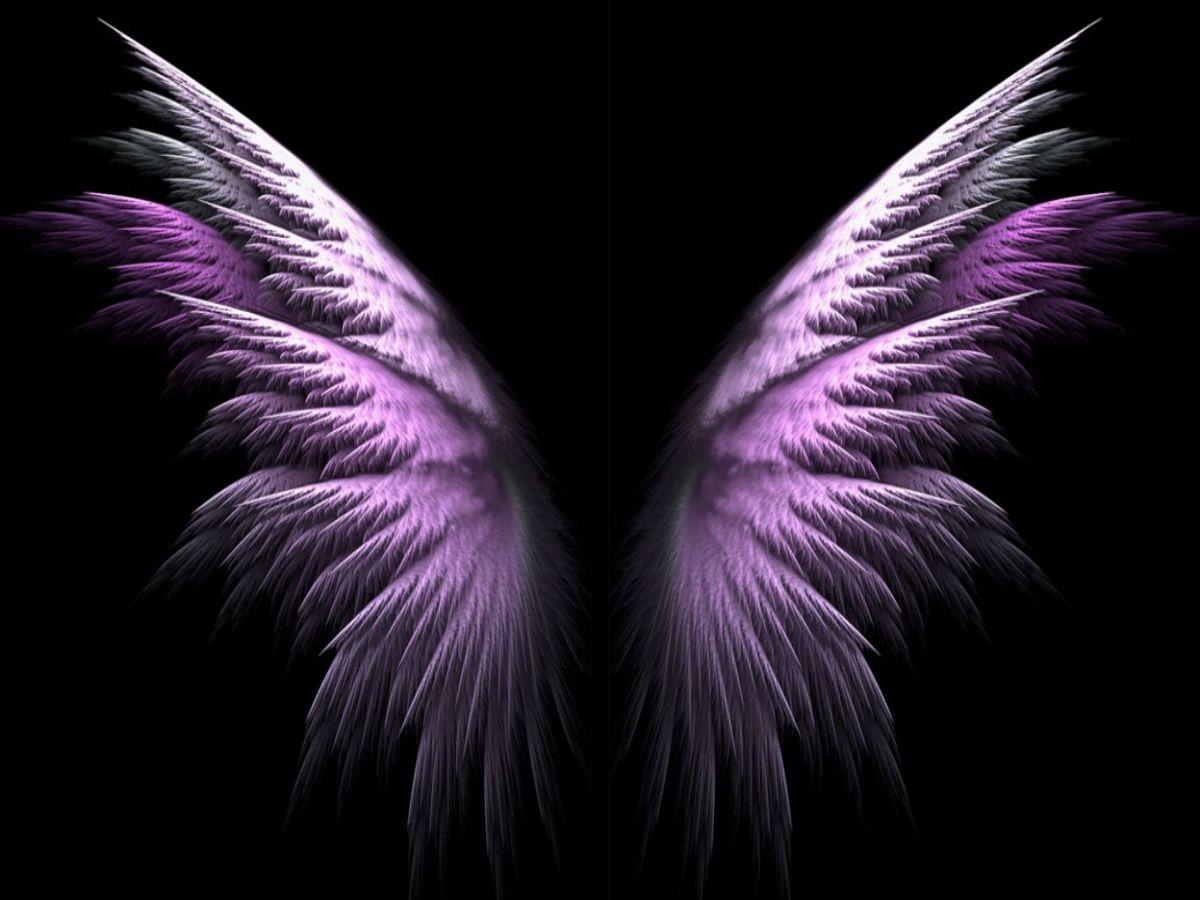 Pink Wings Wallpaper