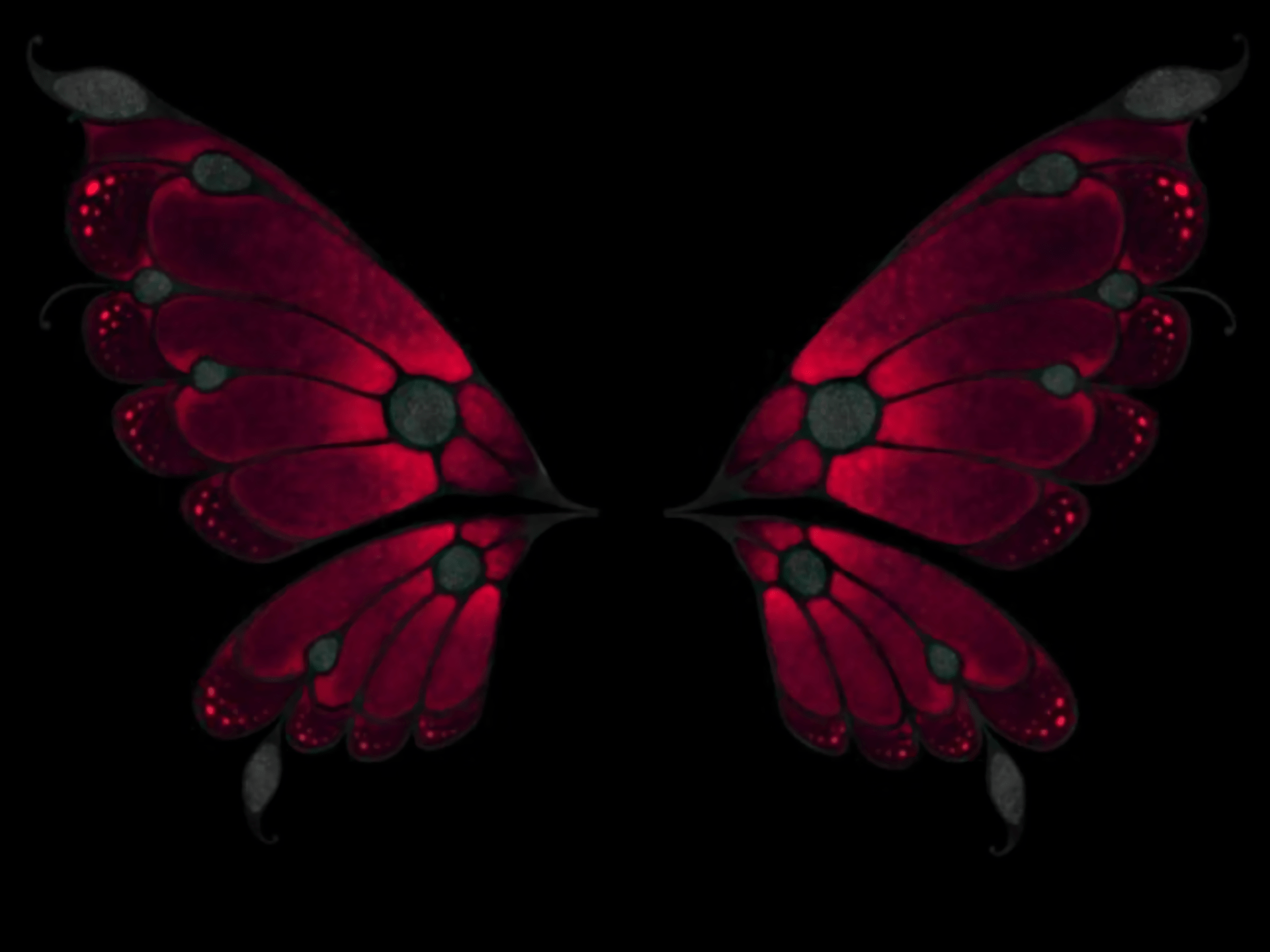 A pair of red butterfly wings with black spots on the edges - Wings