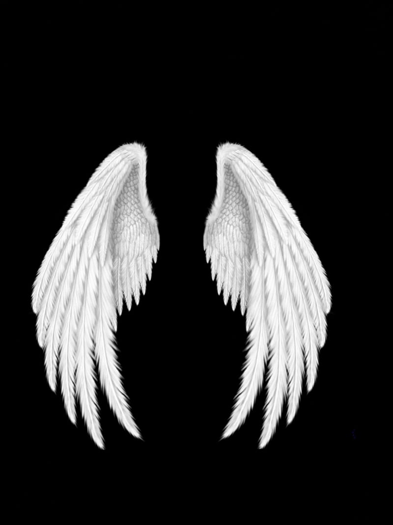 Two white angel wings on a black background - Wings
