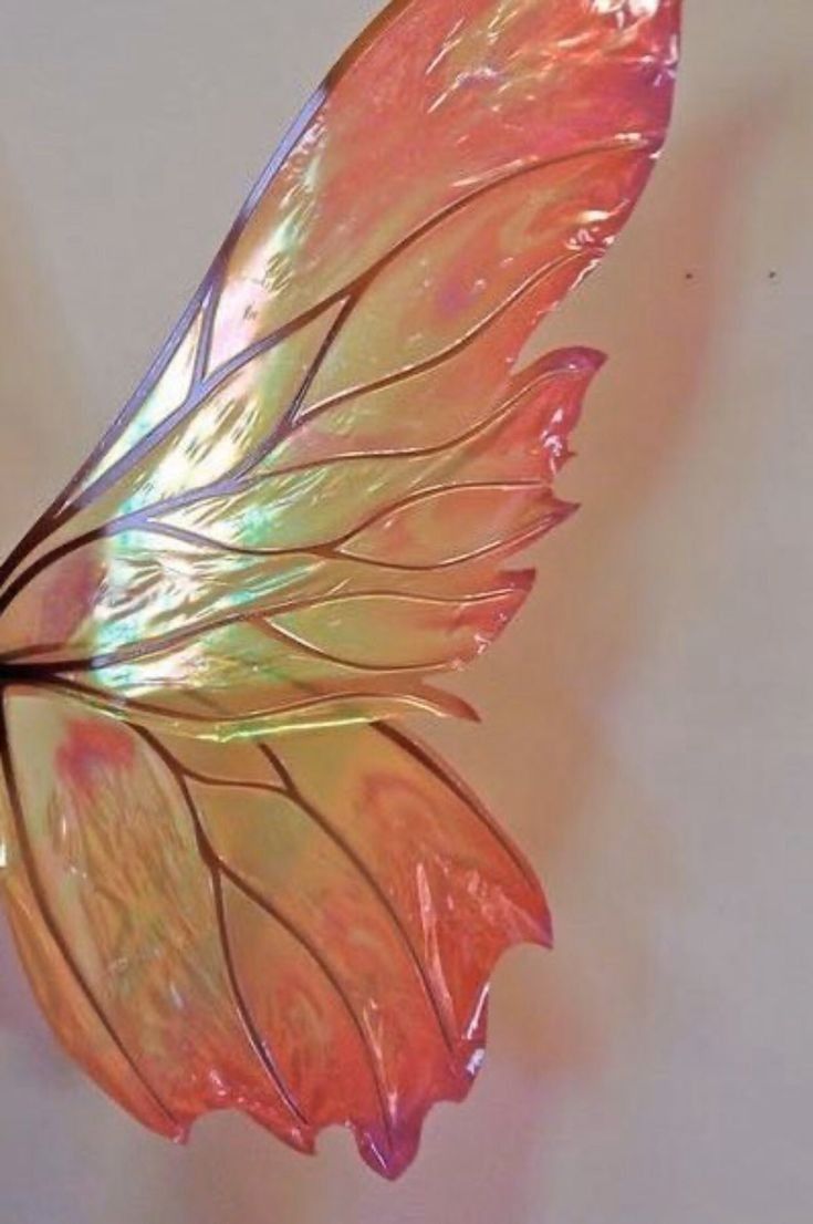 A close up of a butterfly wing that is pink and iridescent. - Wings