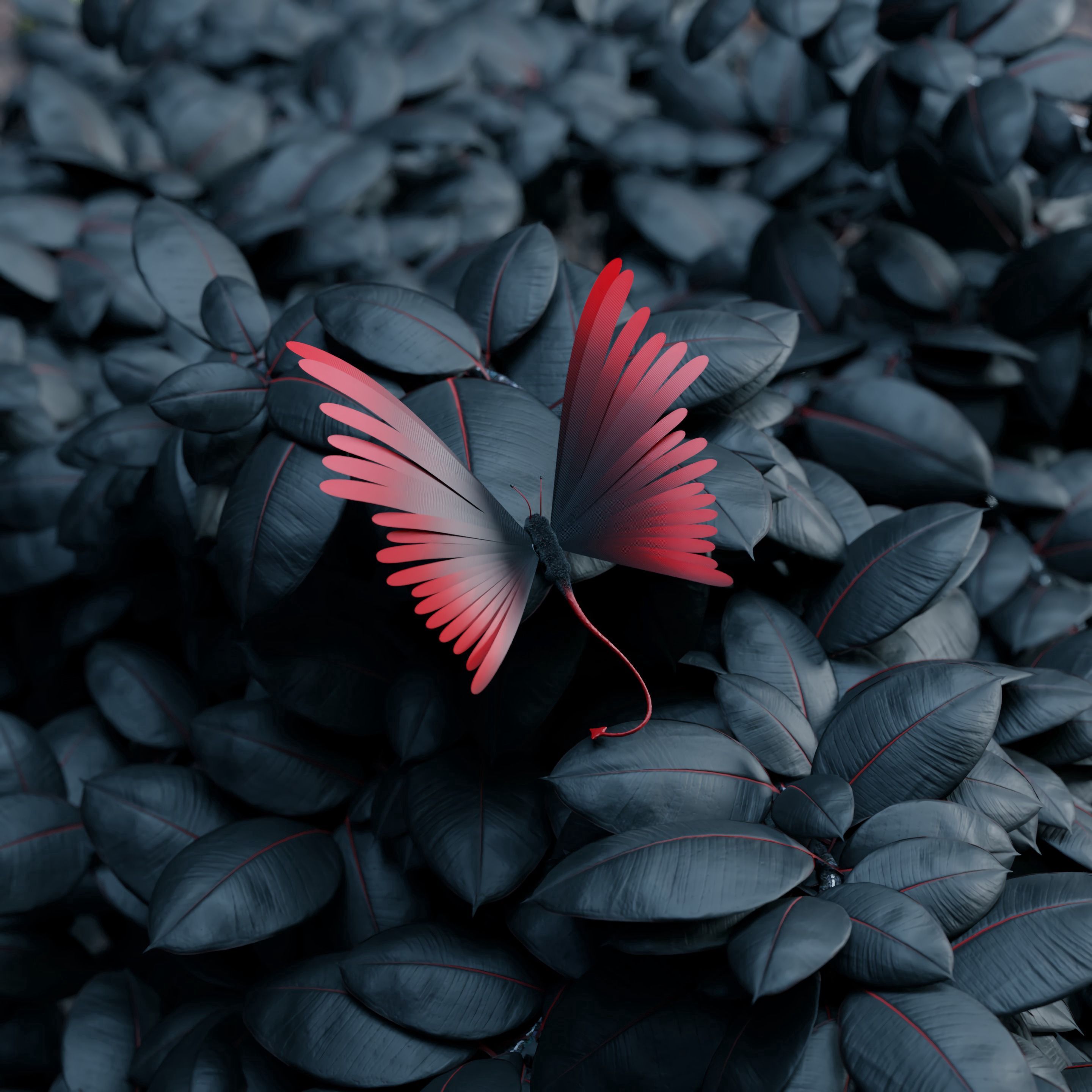 Mobile wallpaper: 3D, Butterfly, Wings, Leaves, Contrast, 128113 download the picture for free