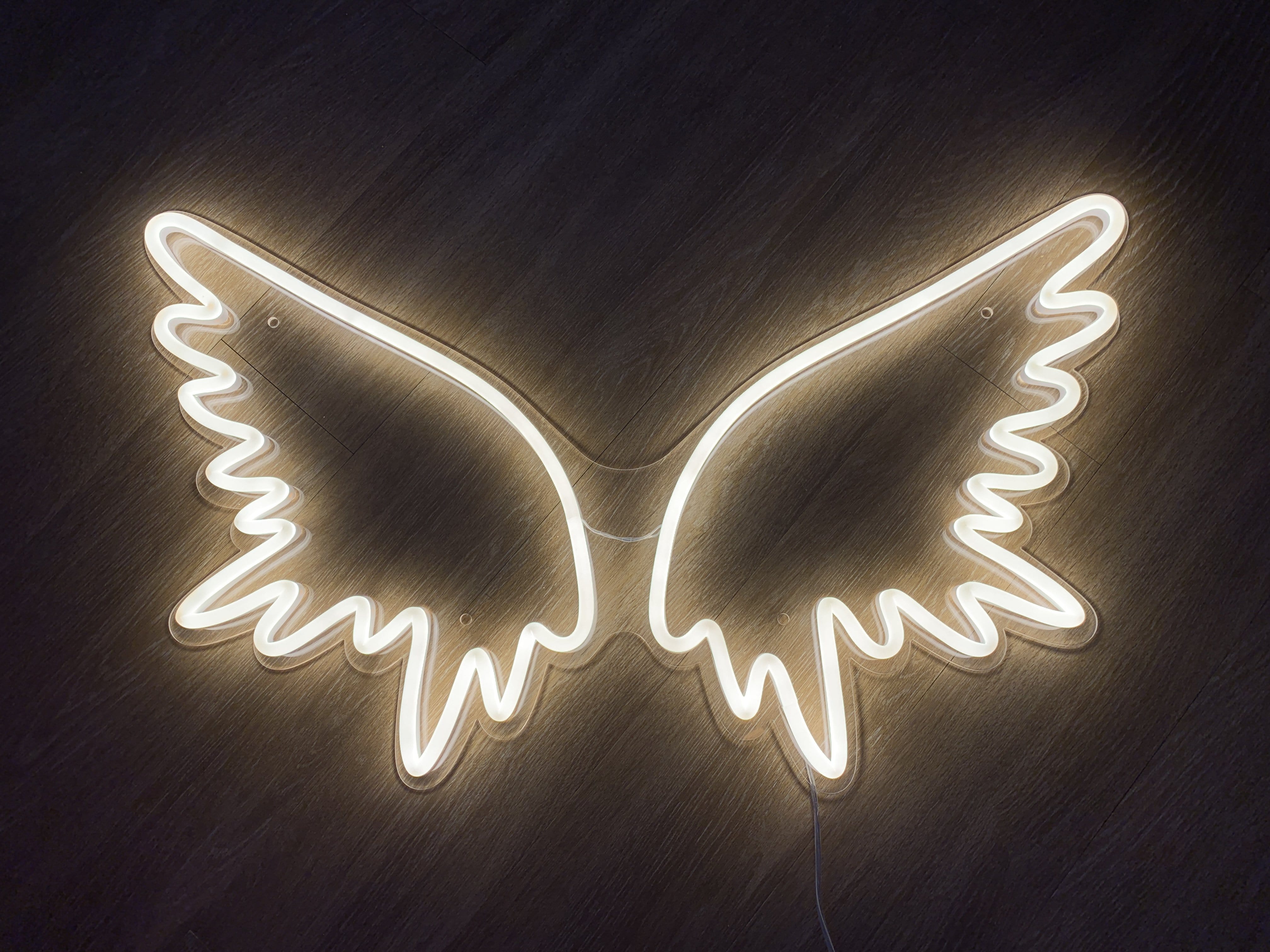 A neon sign of two wings - Wings