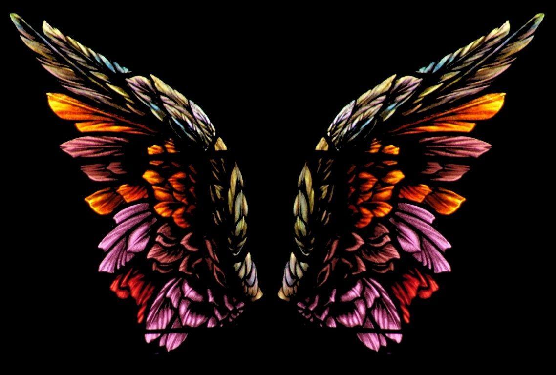 A pair of colorful wings on black background - Wings