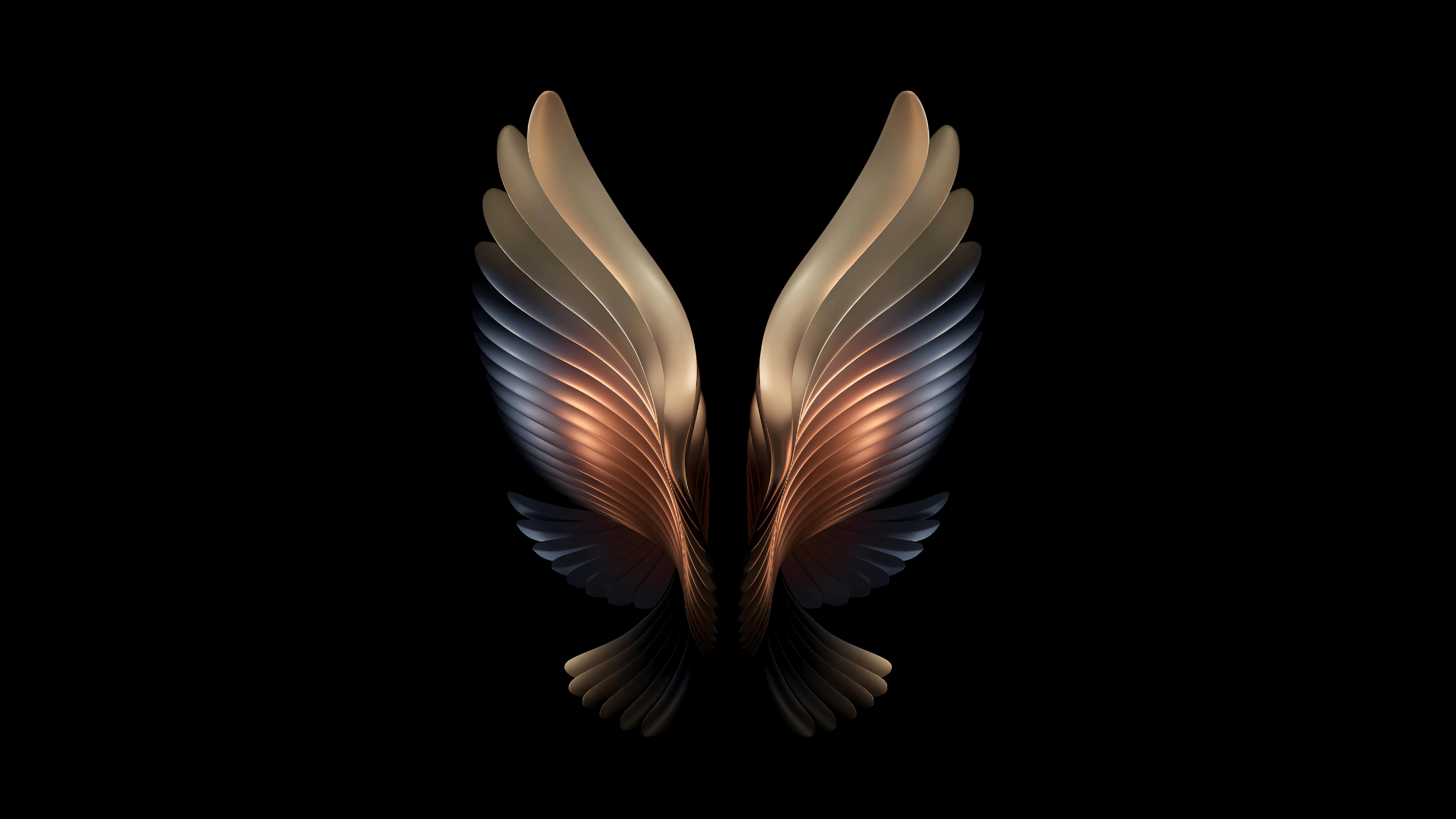 Two large golden wings on a black background - Wings