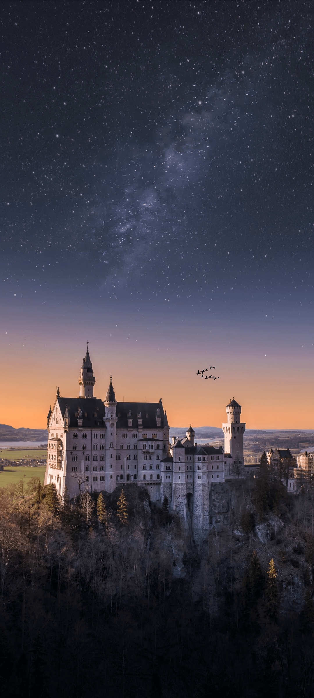 Wallpaper Neuschwanstein Castle, Fssen, Castle, Palace, Building, Background Free Image