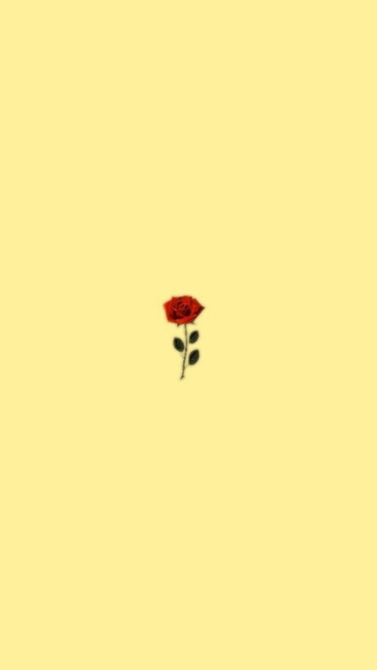 A single red rose on top of yellow background - Modern