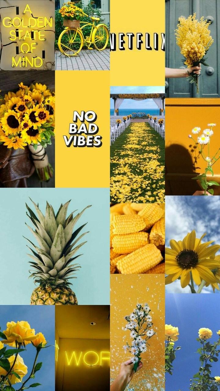 A collage of yellow and blue aesthetic pictures including flowers, fruit, and a bike. - Pineapple