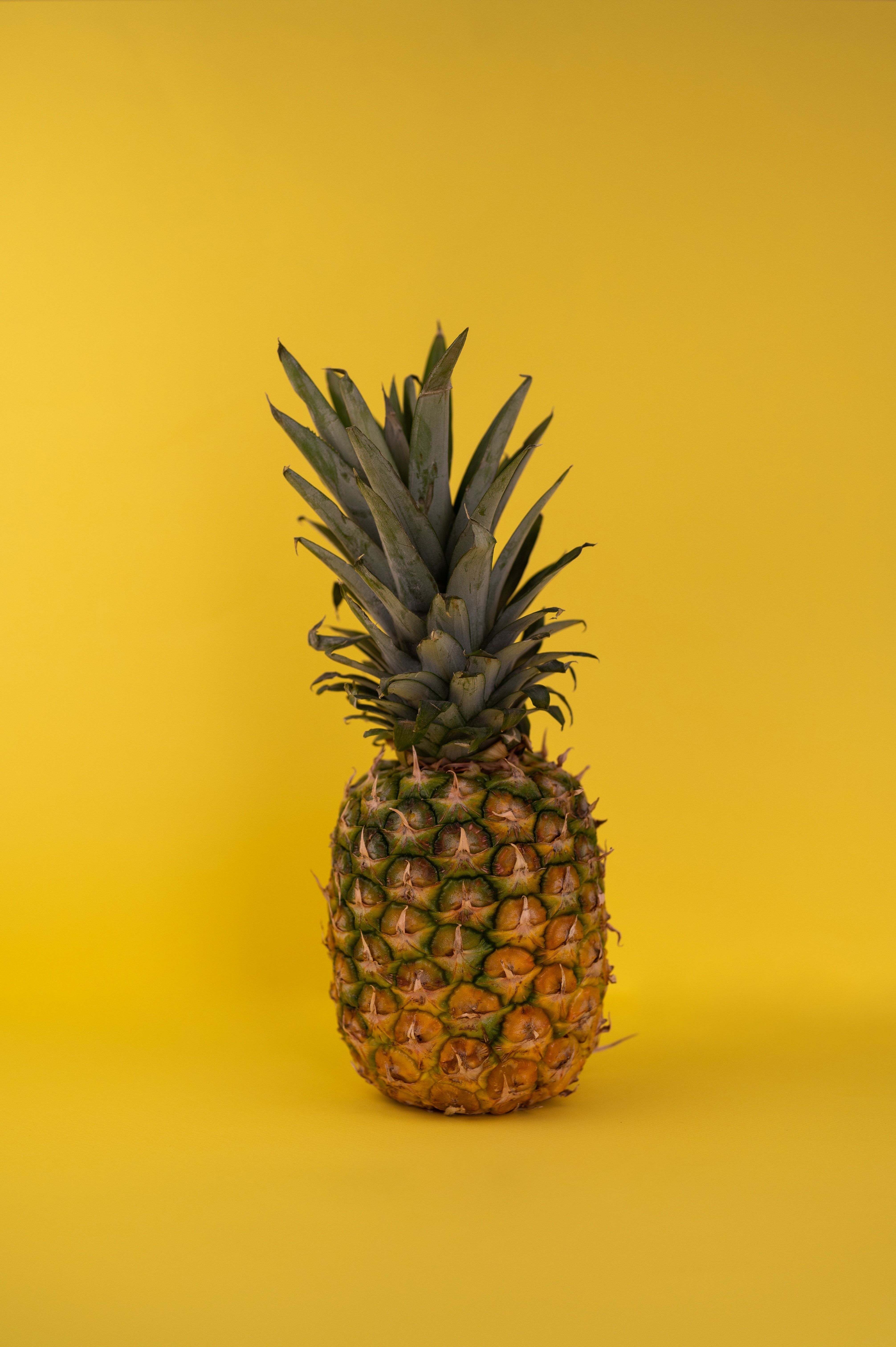 Ripe tropical pineapple in studio · Free