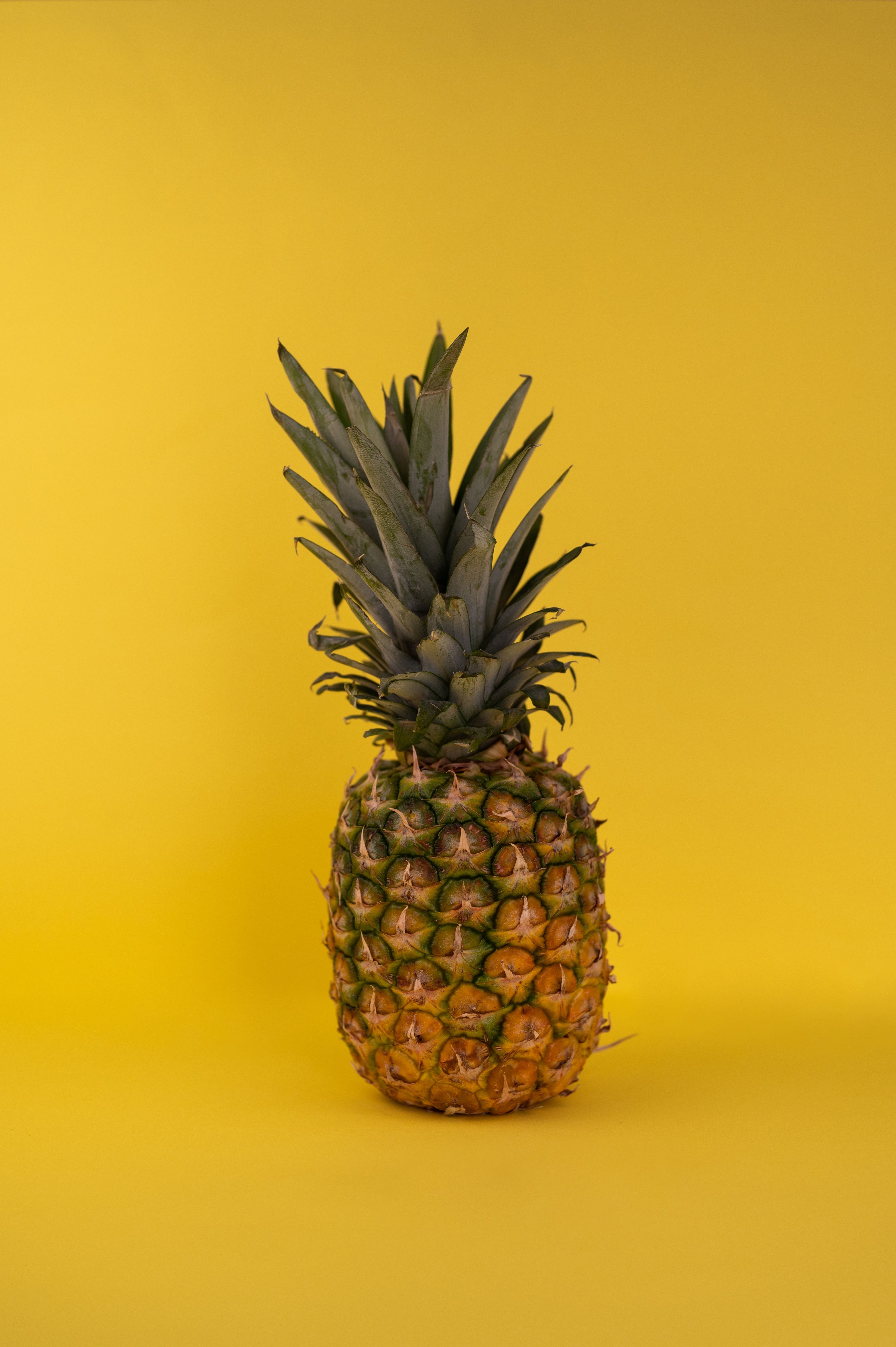 A pineapple on a yellow background - Pineapple