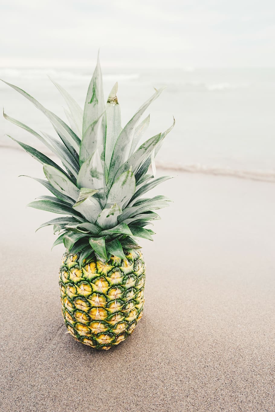 A pineapple sitting on the beach by itself - Pineapple