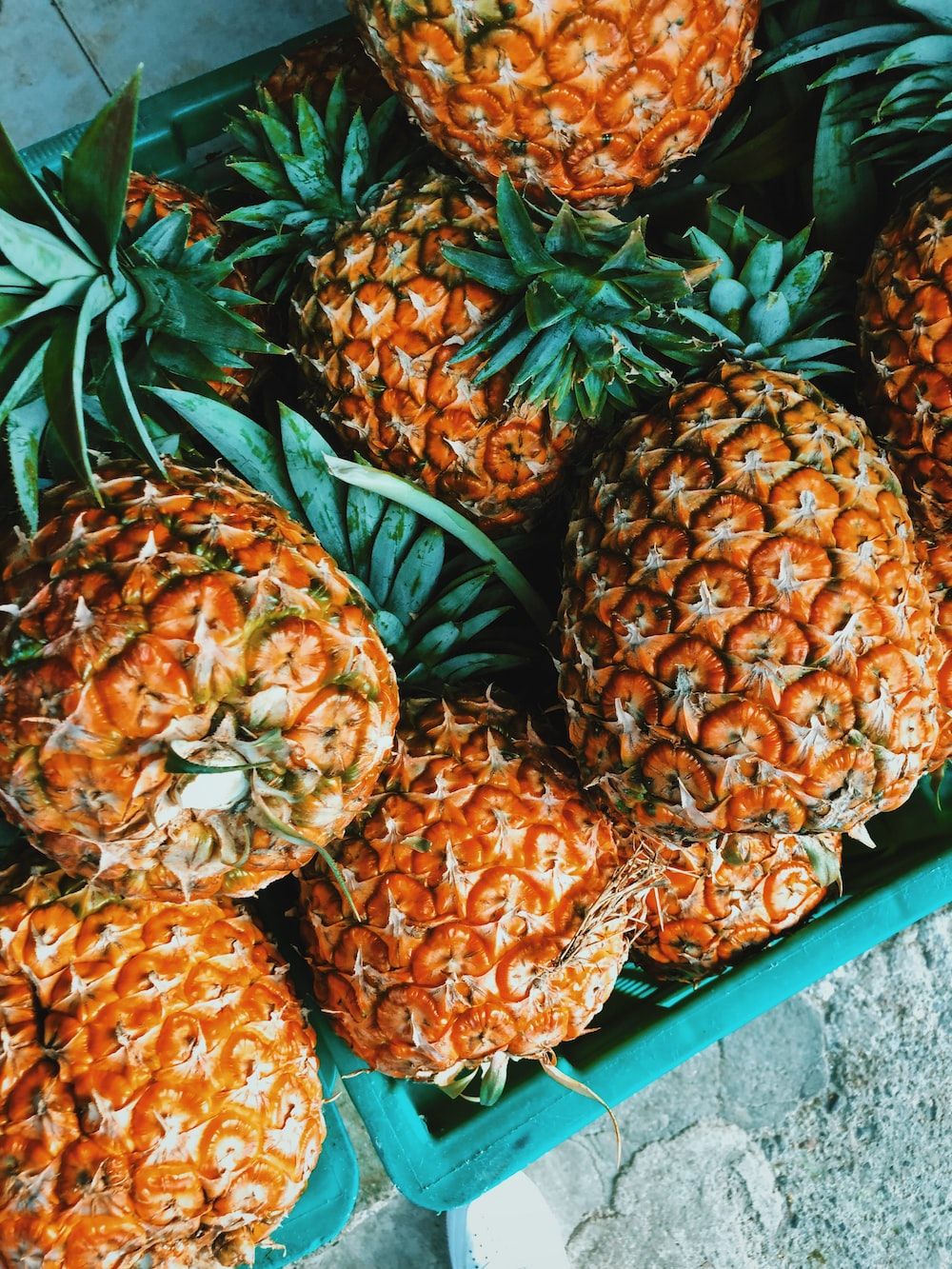 pineapple fruit photo