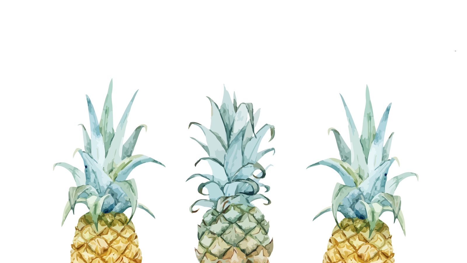 Three pineapples are shown in a watercolor illustration - Pineapple