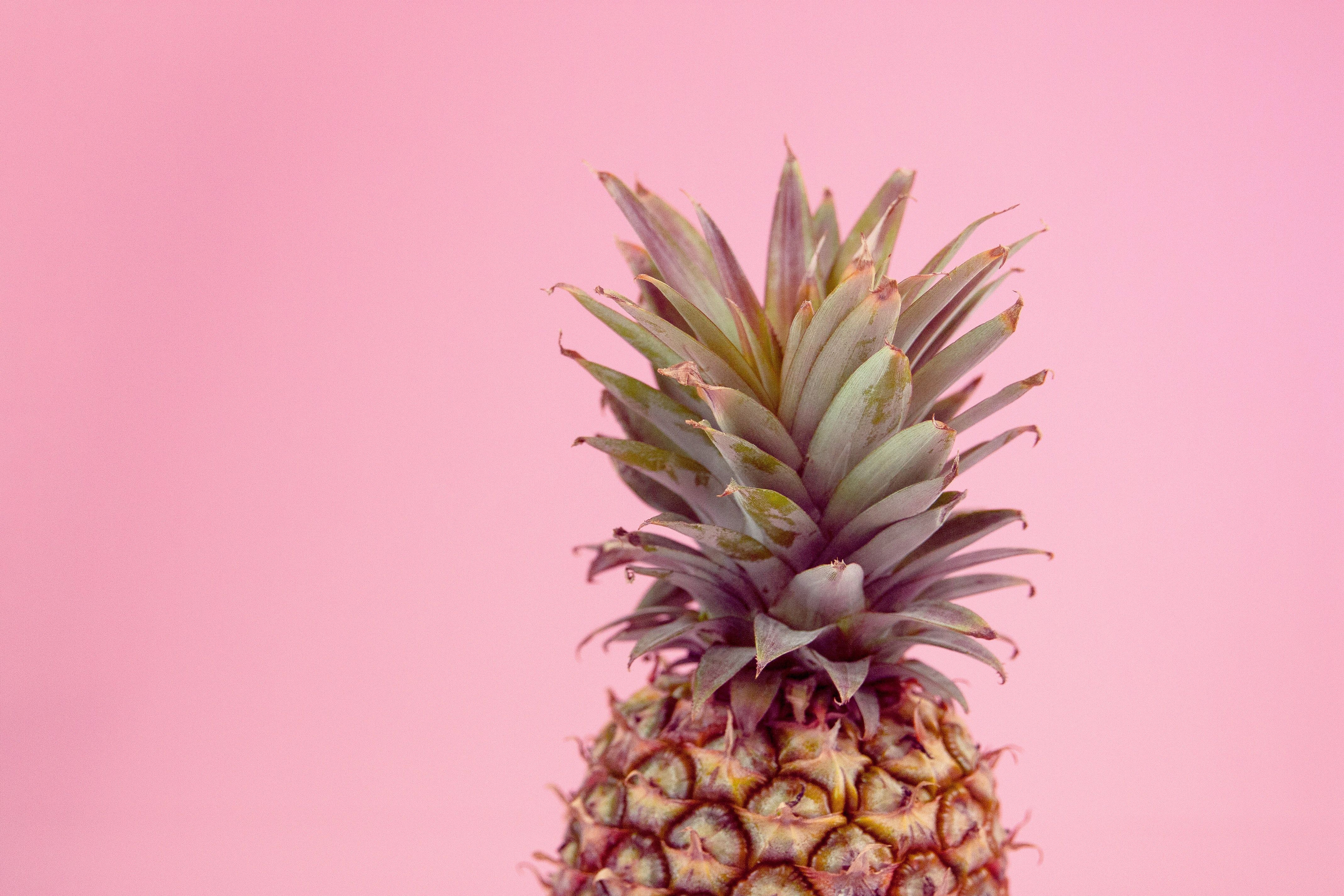 A pineapple against a pink background - Pineapple