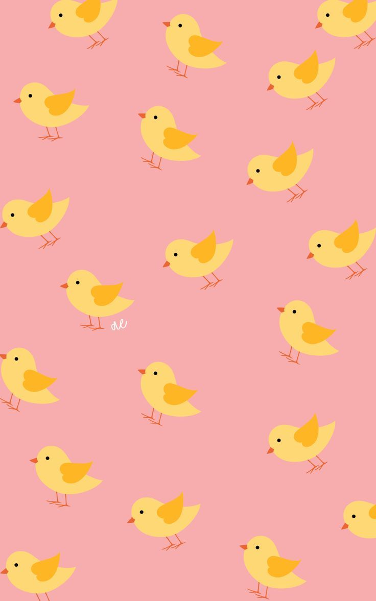 Yellow baby chicks on a pink background - Easter