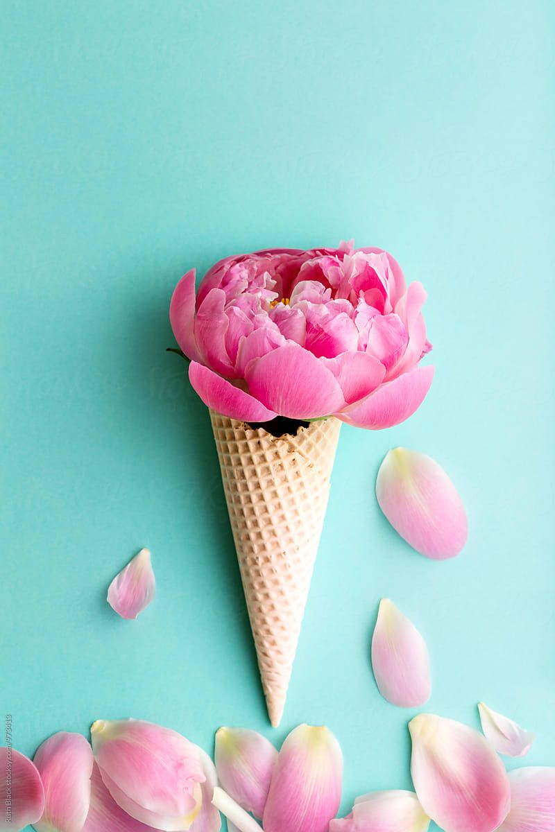A cone with pink flowers on it - Ice cream