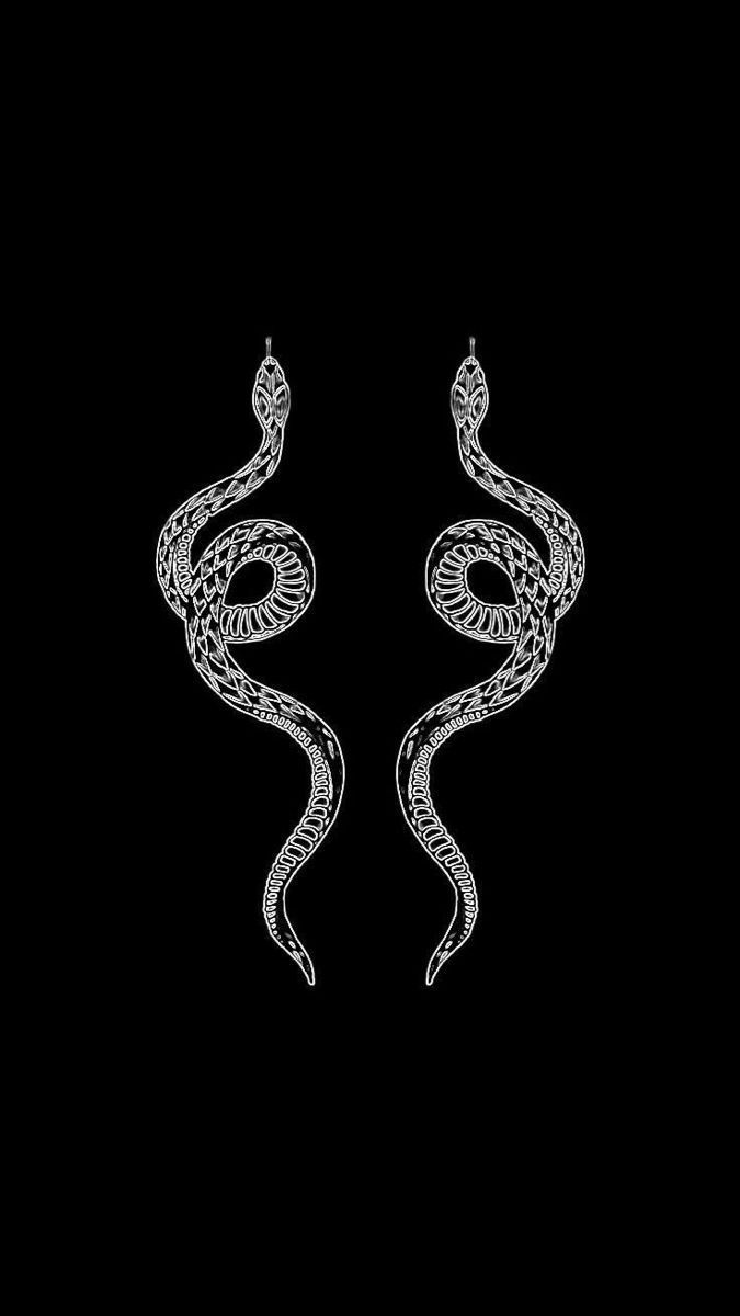 A pair of white snakes on a black background - Snake