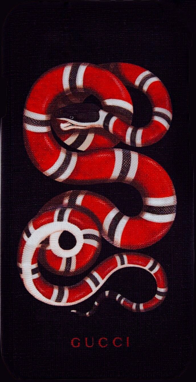 A black and white snake with red stripes on it - Snake