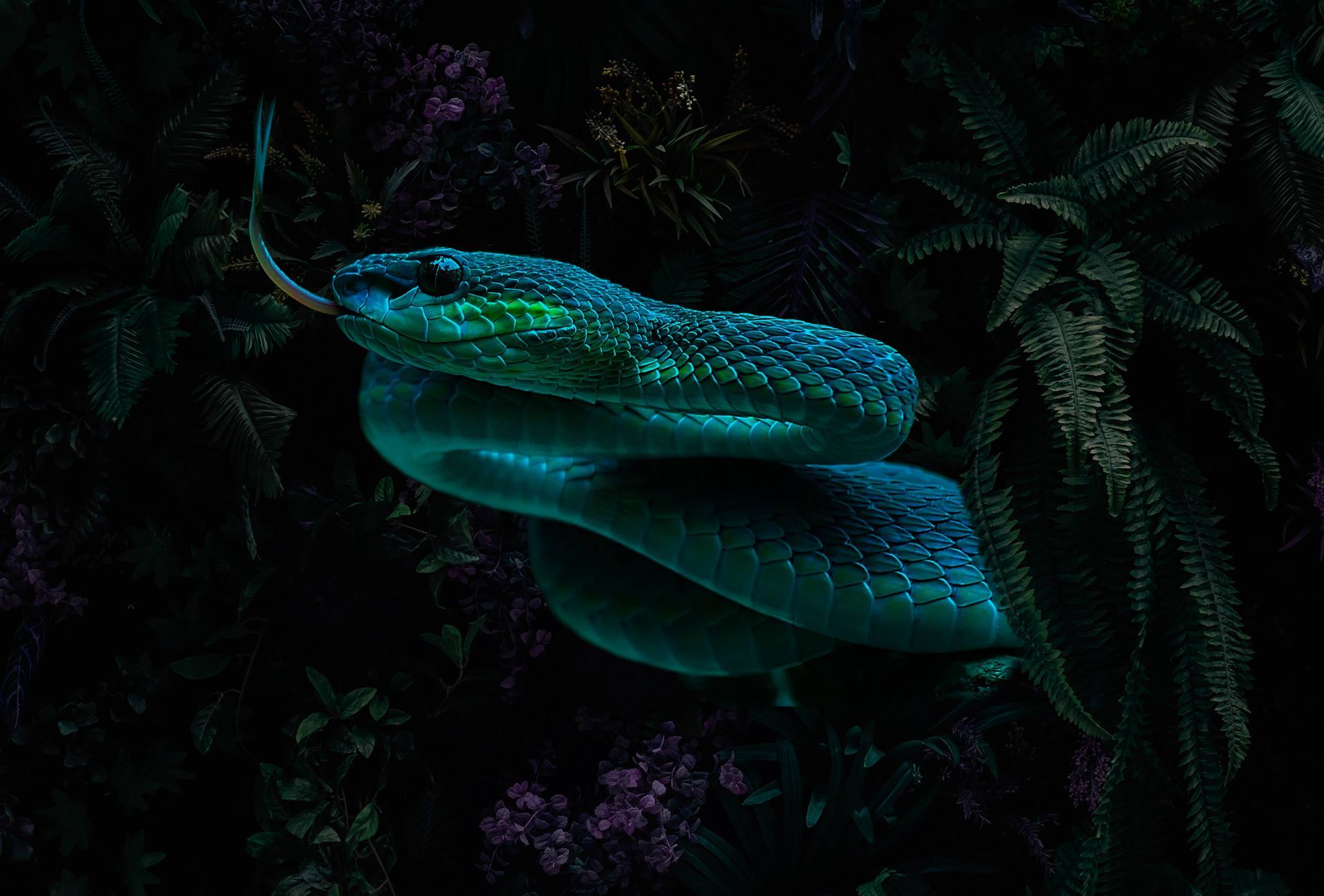 A blue snake coiled up in a dark forest - Snake