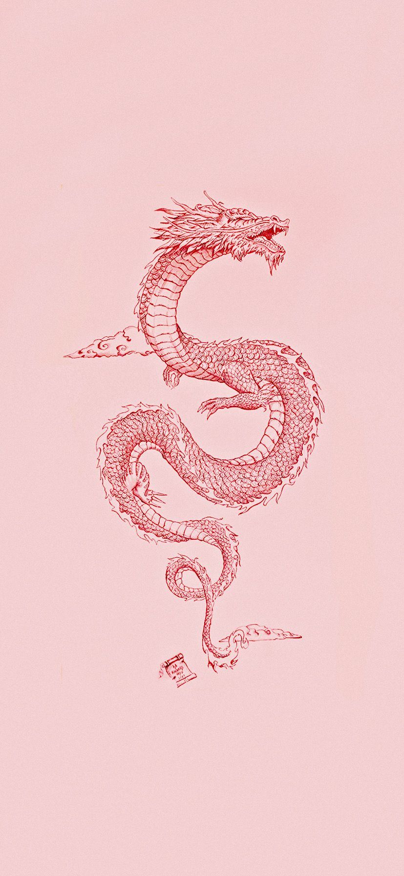 A red dragon on pink background - Snake