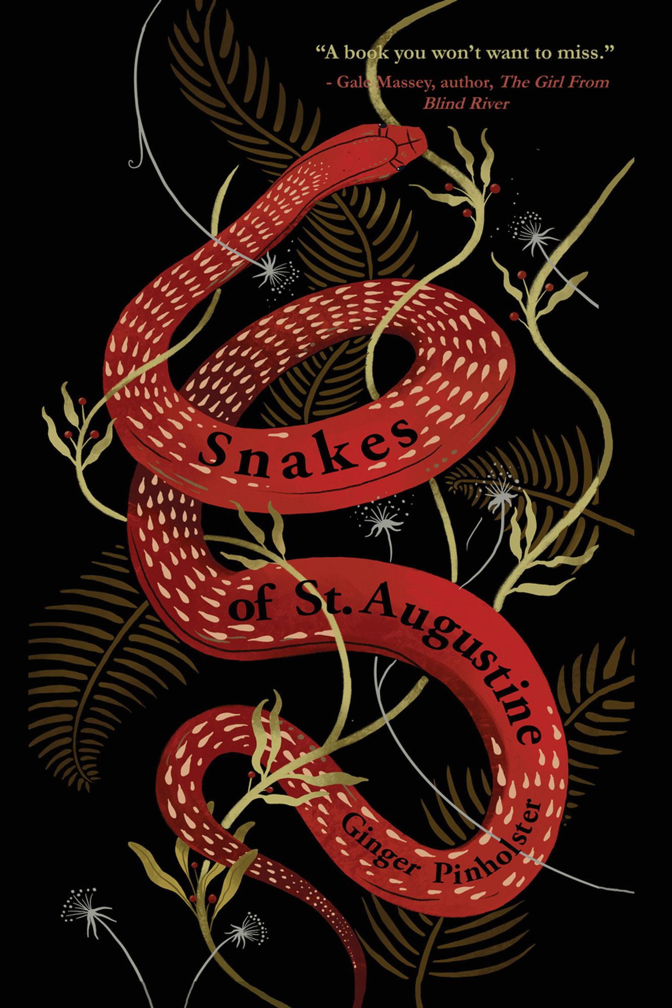 Snakes of St. Augustine