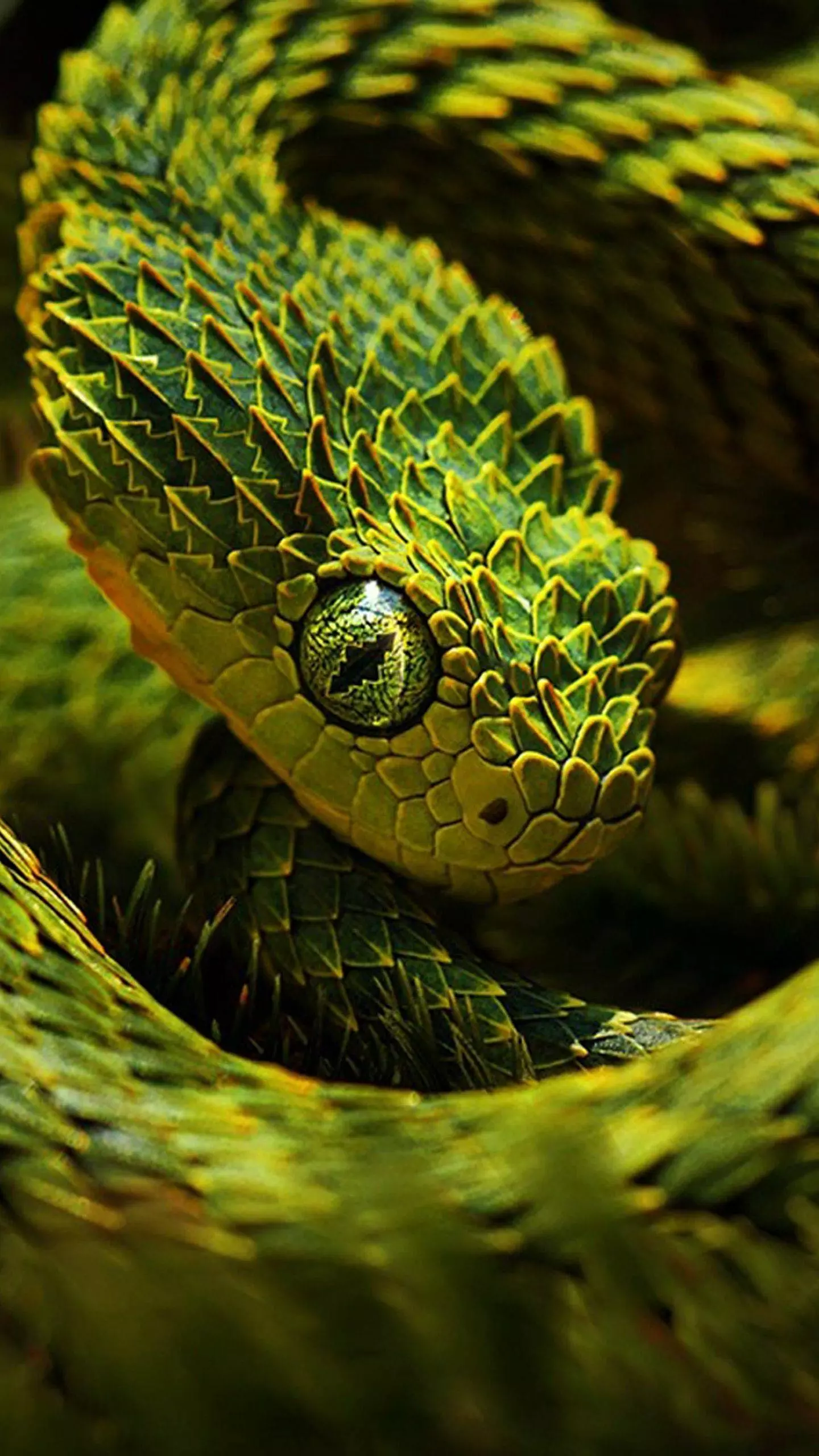 A close up of a green snake with yellow scales and green eyes. - Snake