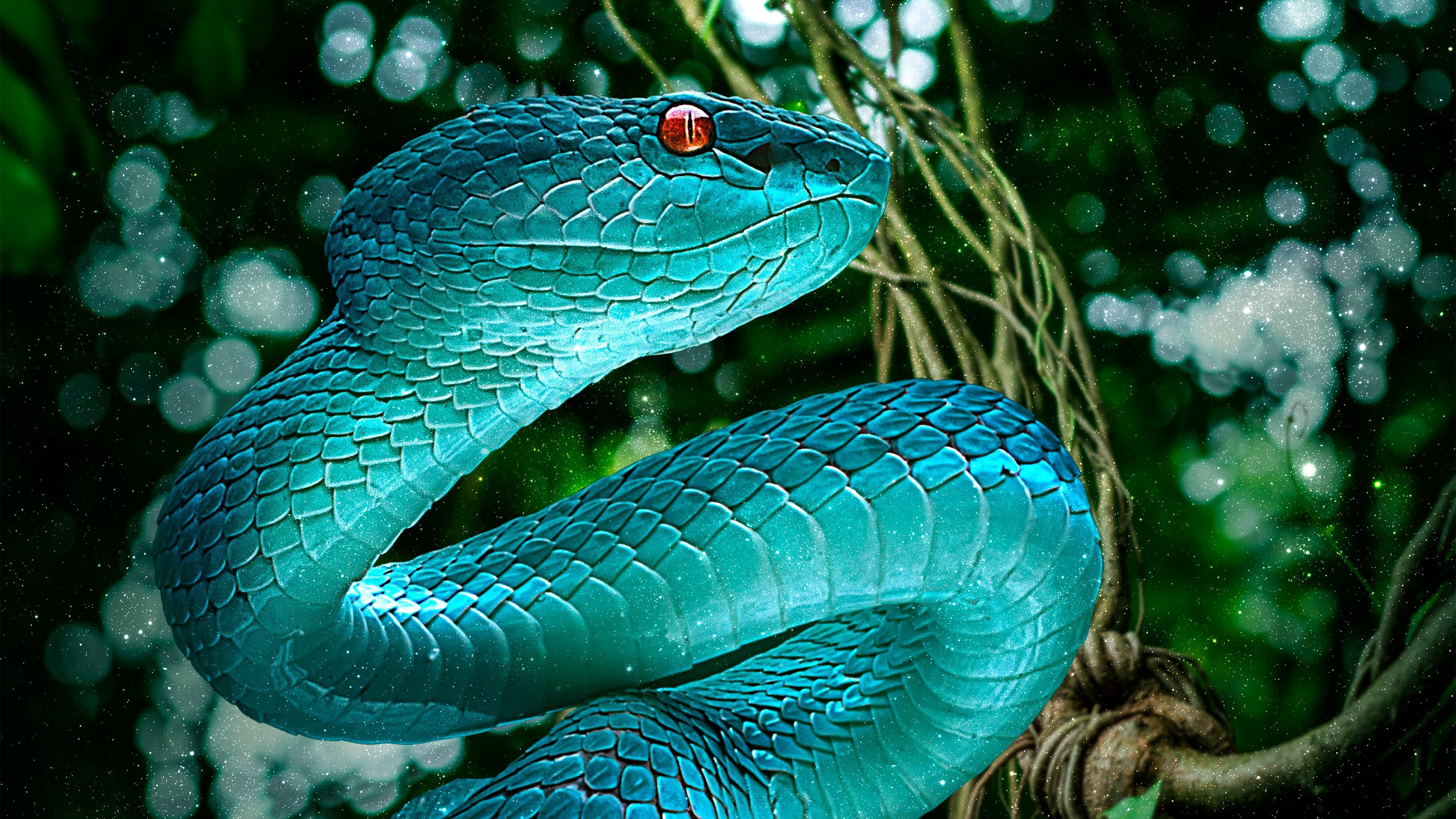 HD Snake Wallpaper Free Download