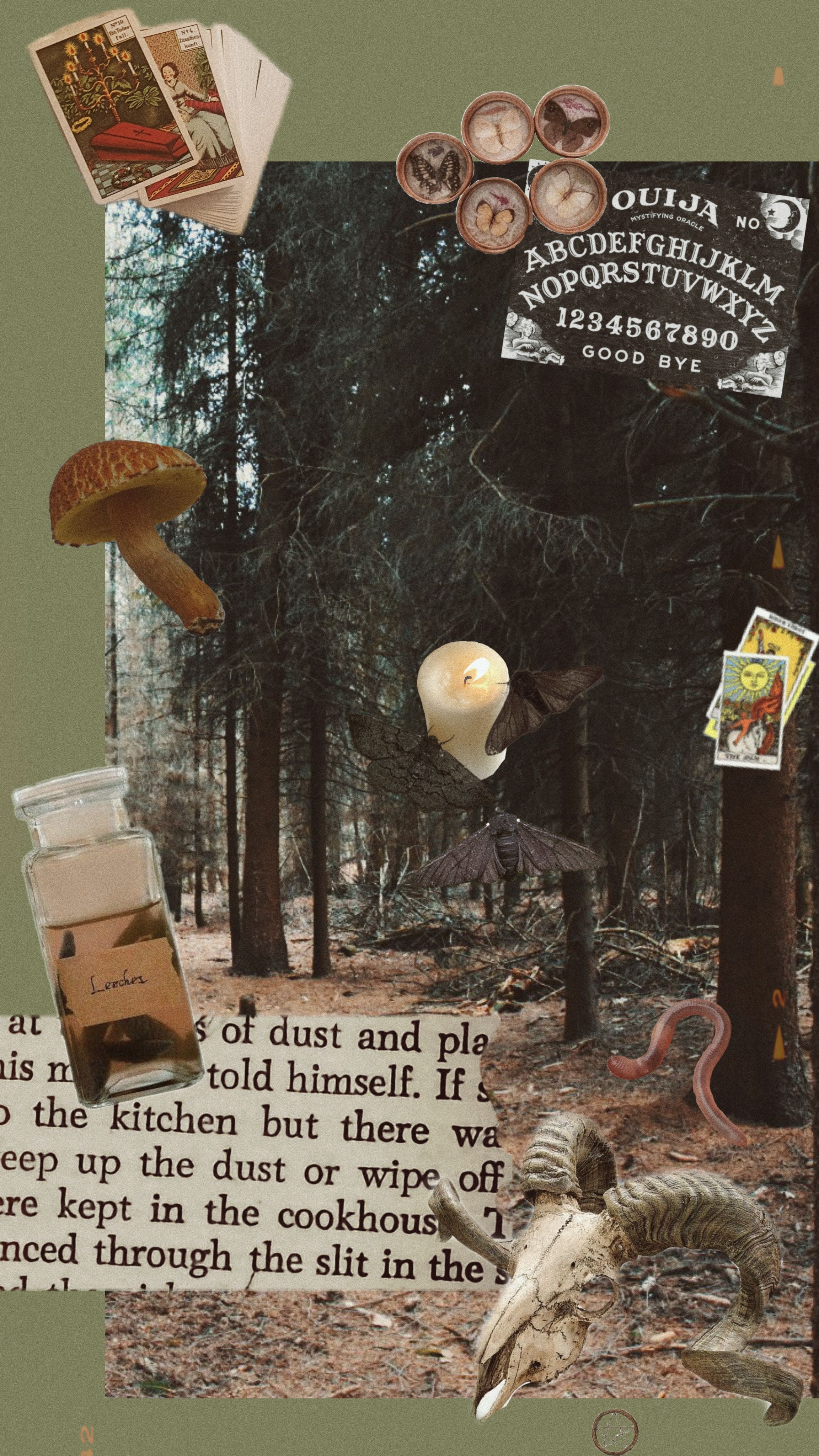 A collage of various items in the woods - Witchcore