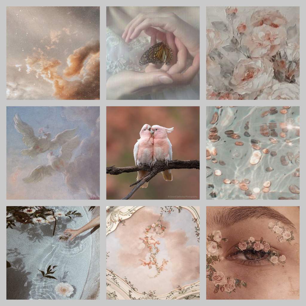 A collage of pictures with flowers and birds - Angelcore