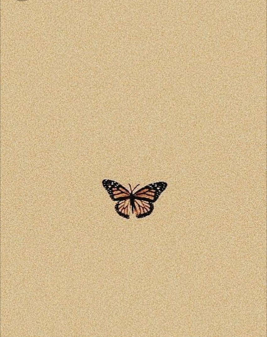 A butterfly on the sand - Profile picture