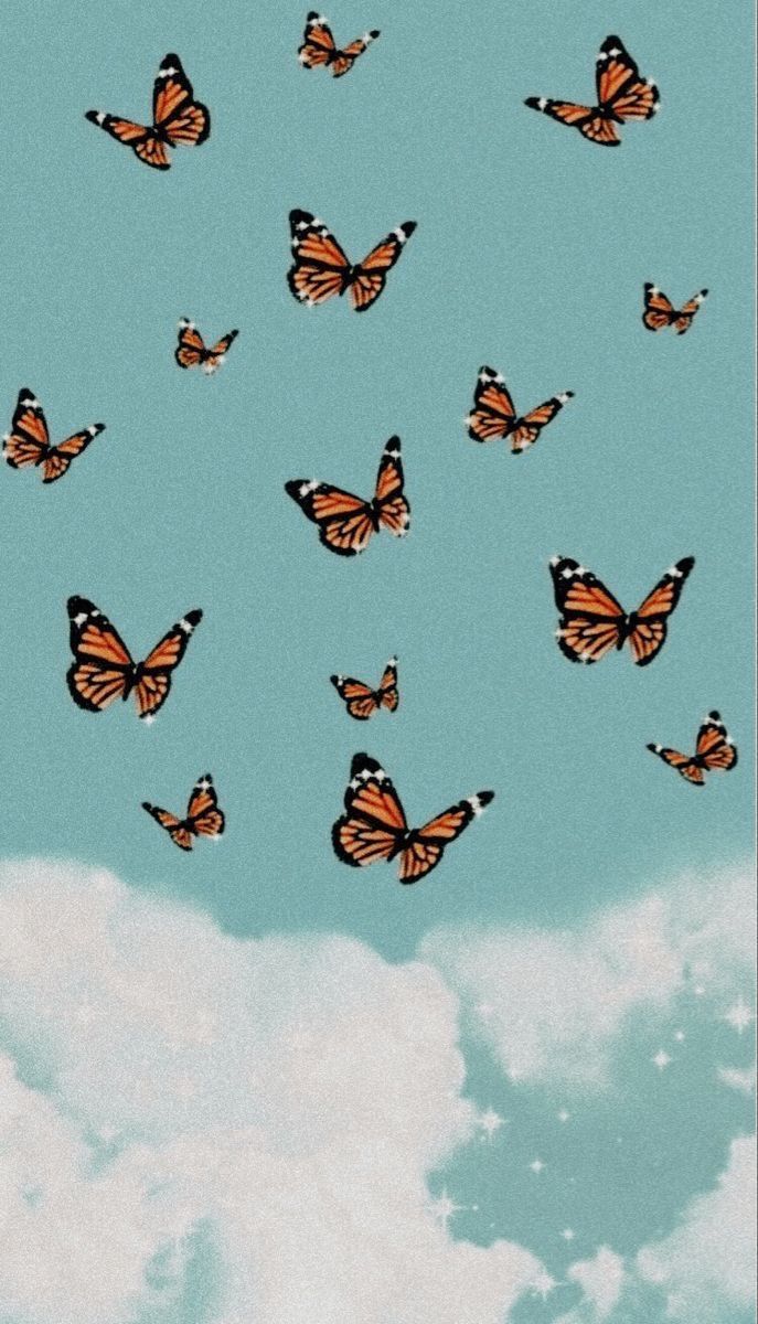 Aesthetic butterfly wallpaper for phone, laptop and desktop. - Profile picture