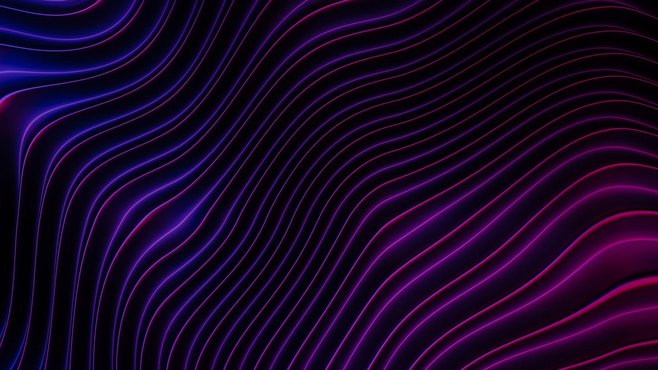 A purple and blue abstract background with wavy lines - 2560x1440