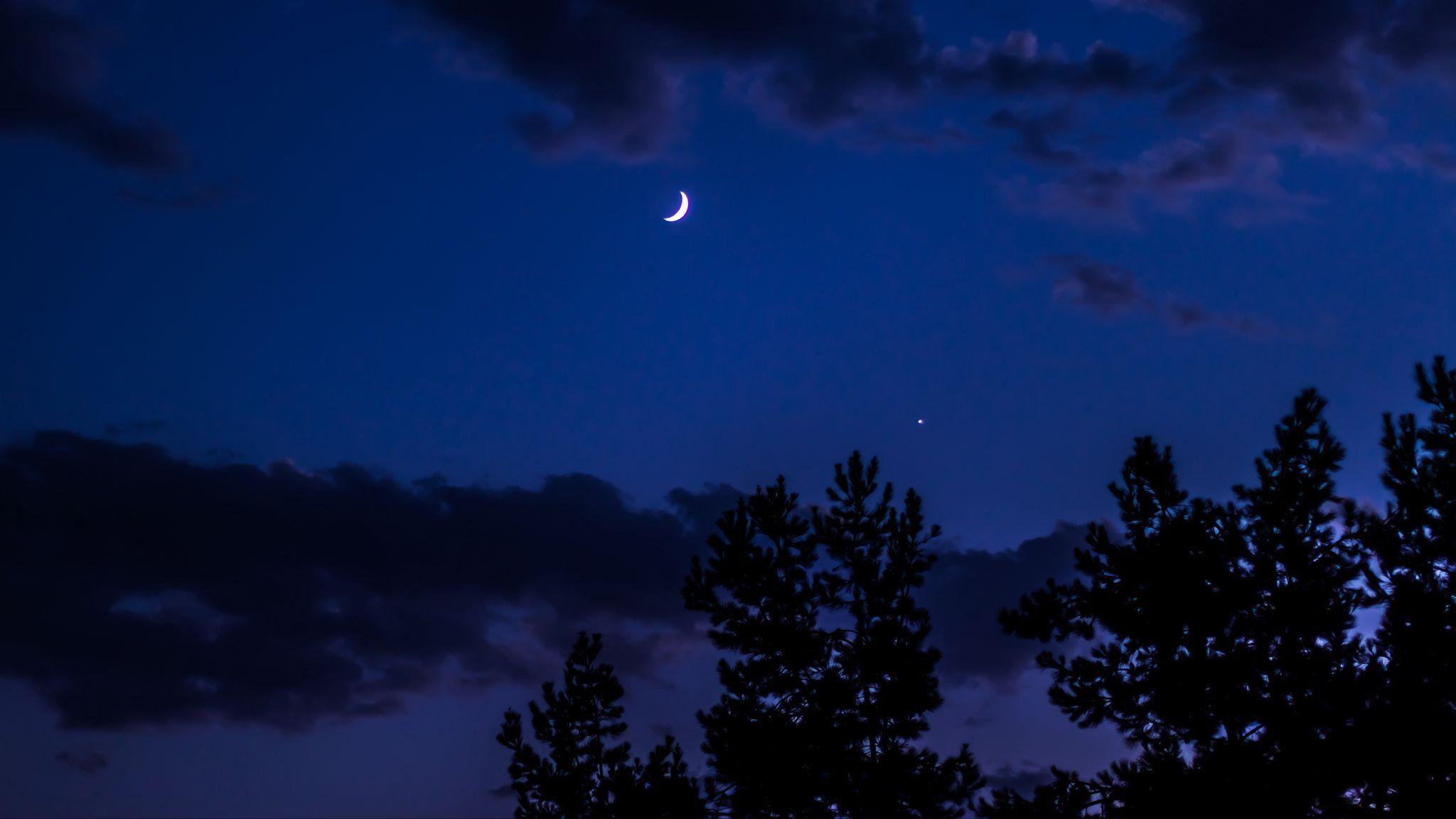 A crescent moon in a blue sky with trees in the foreground. - 2048x1152