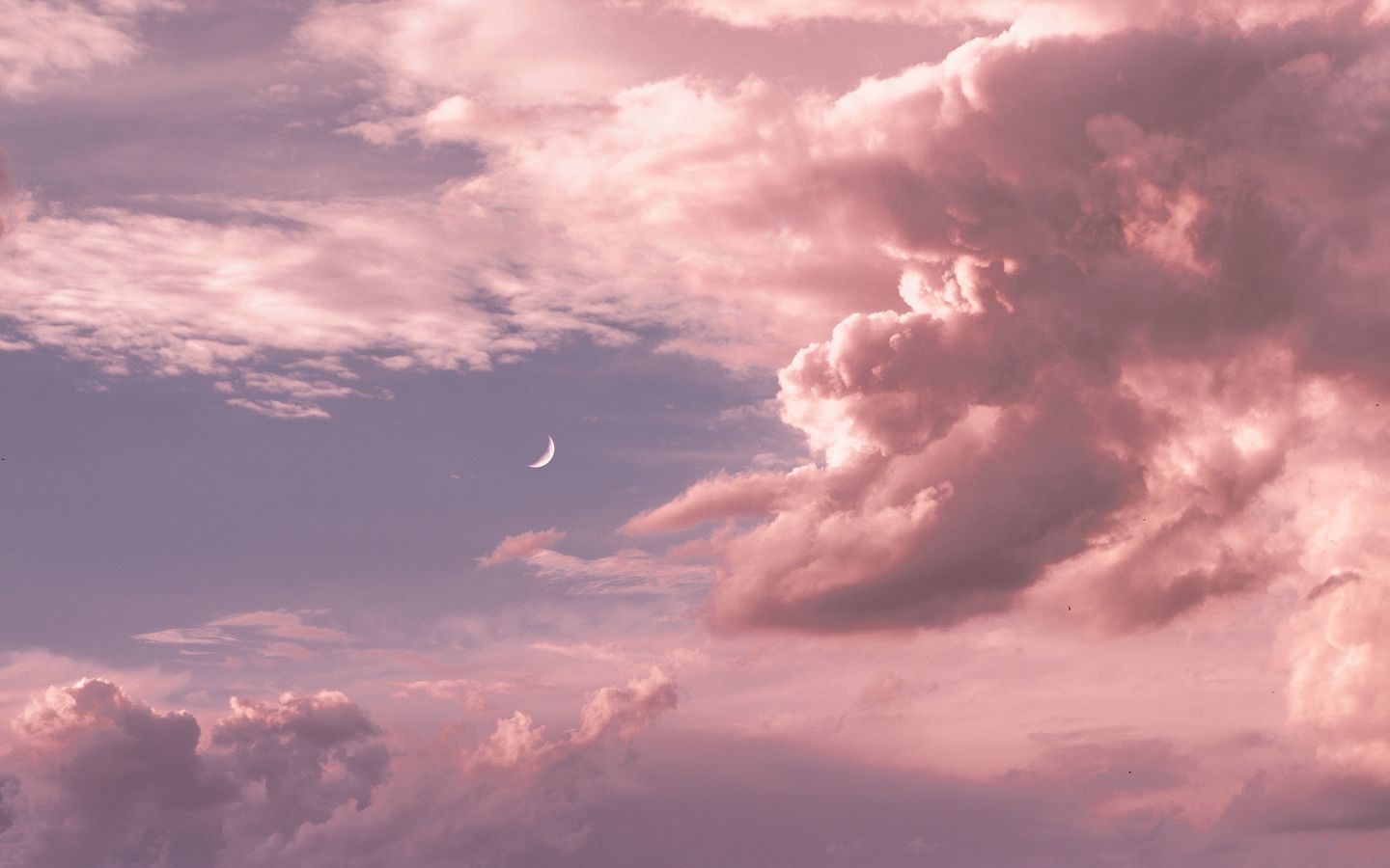 Pink clouds in the sky with a crescent moon. - 1440x900