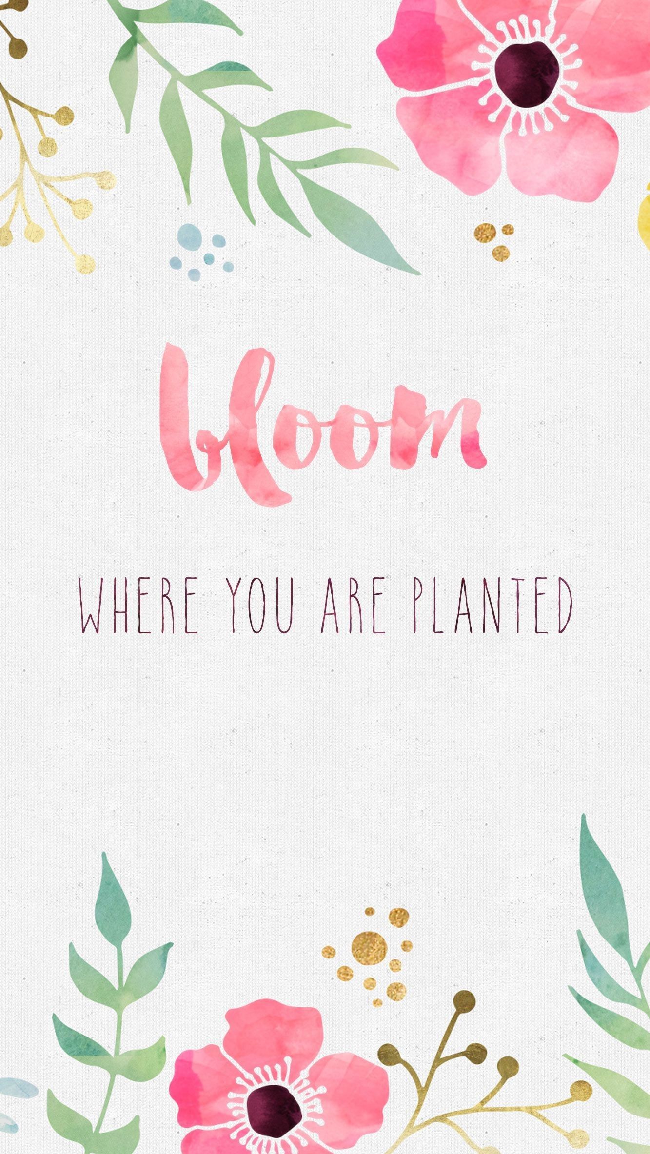 A poster with the words bloom where you are planted - Calligraphy
