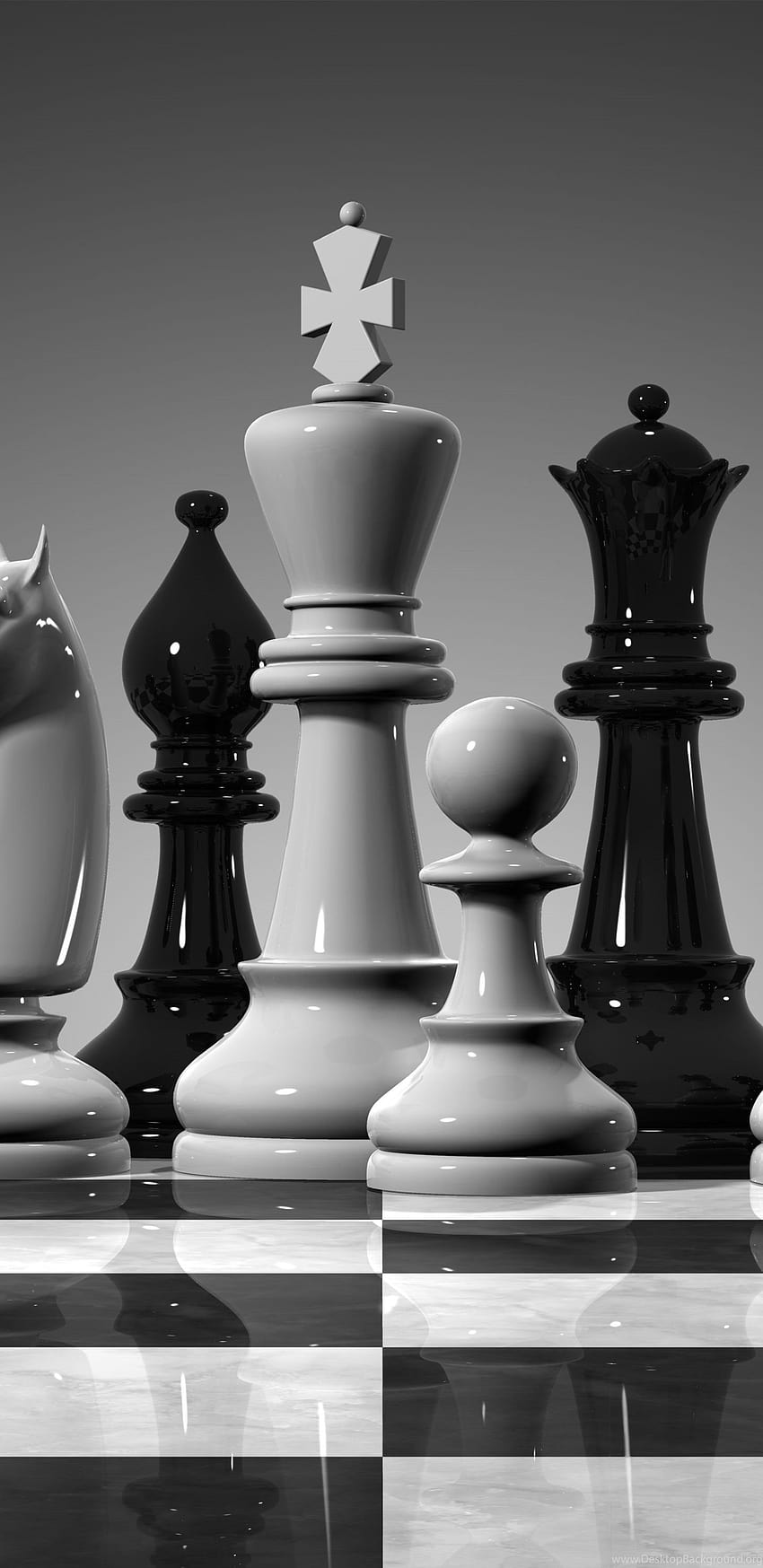 Black and white chess pieces on a chess board - Chess