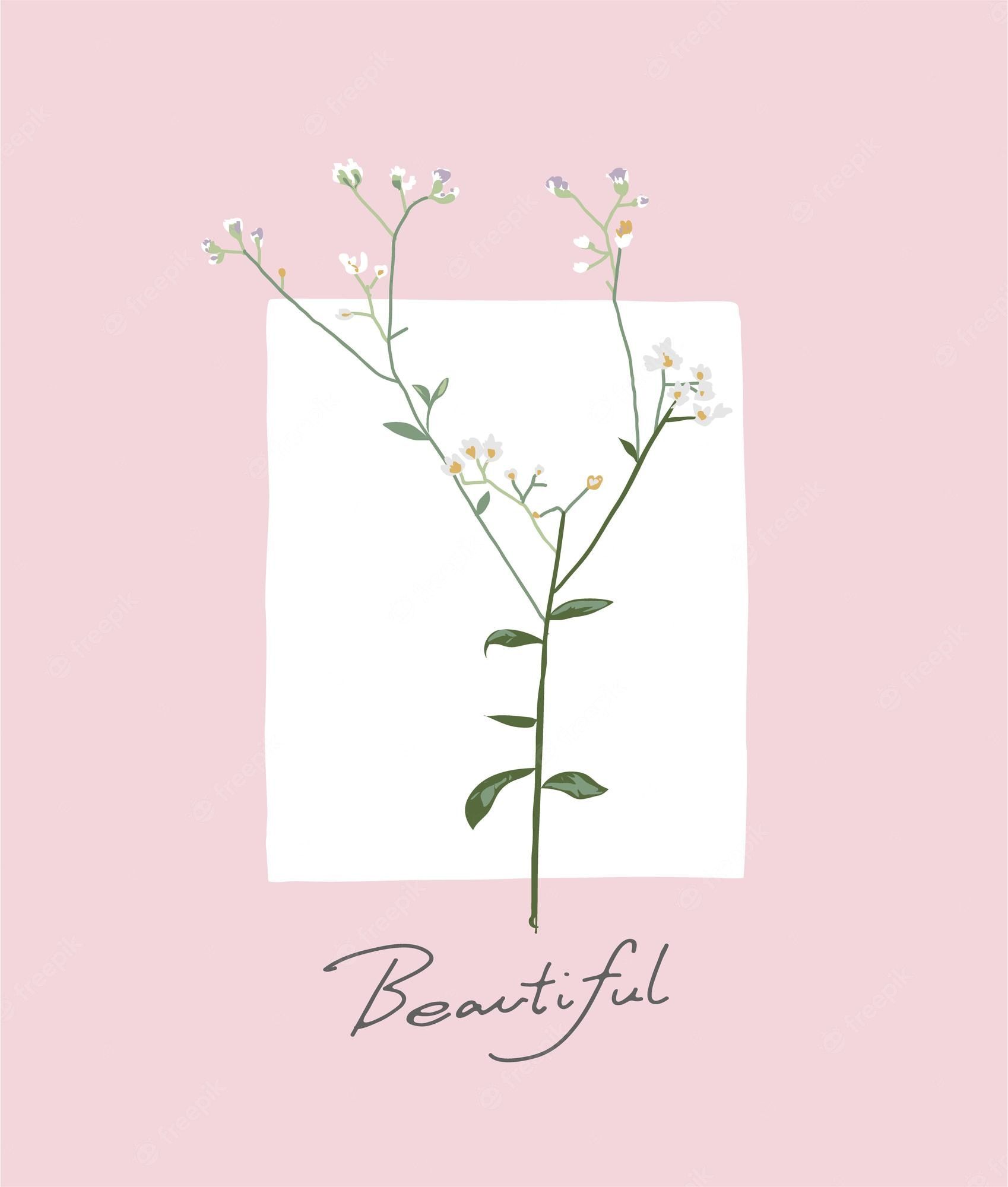 A pink background with white flowers and the word beautiful - Calligraphy