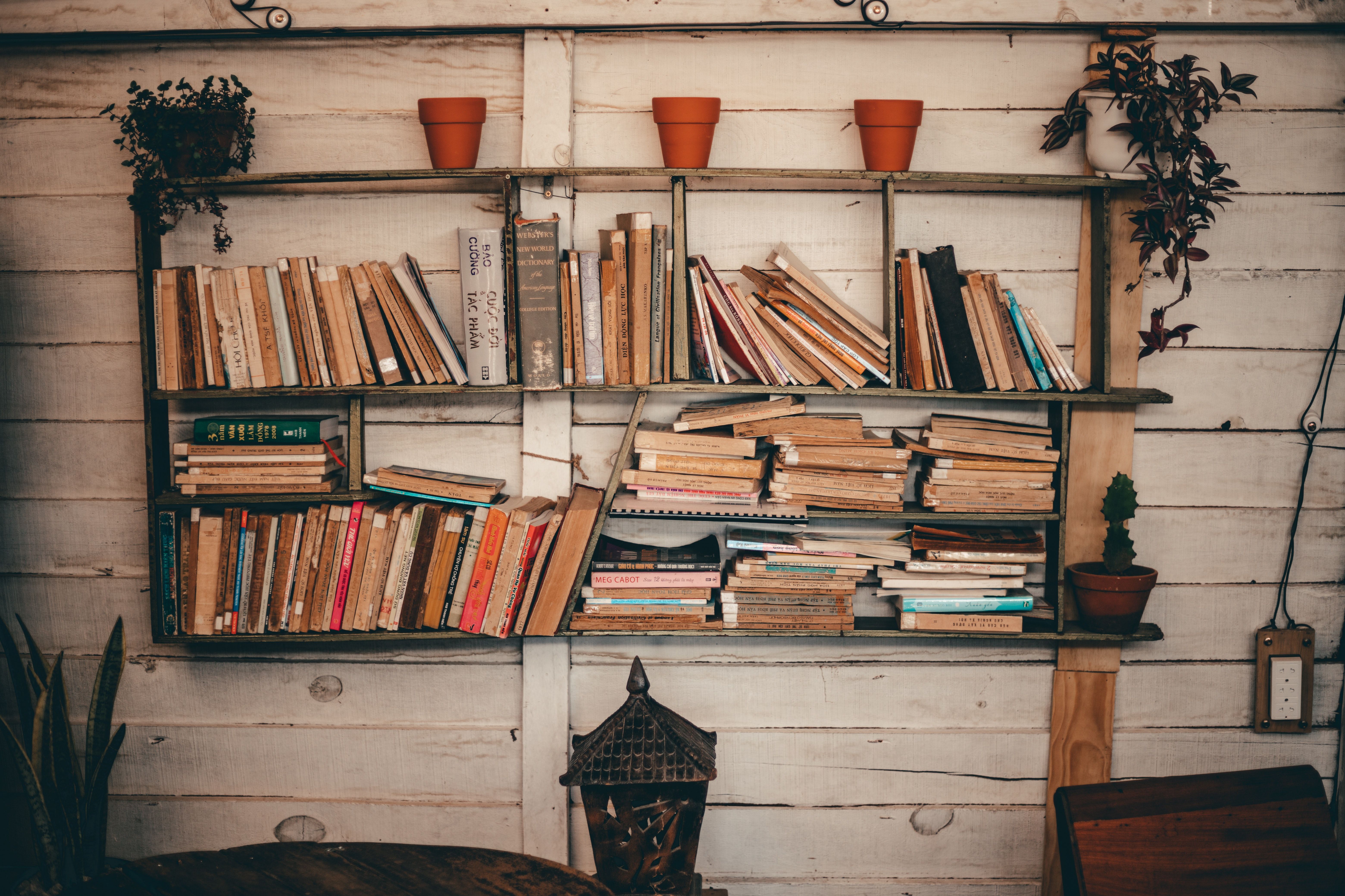 A book shelf with books and pots of plants - Bookshelf