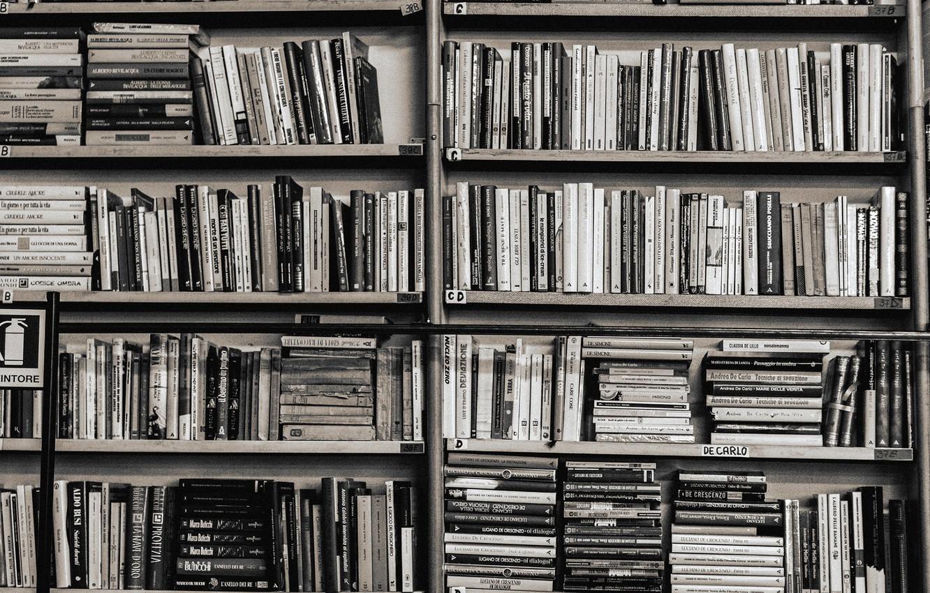 A black and white image of a bookshelf filled with books. - Bookshelf