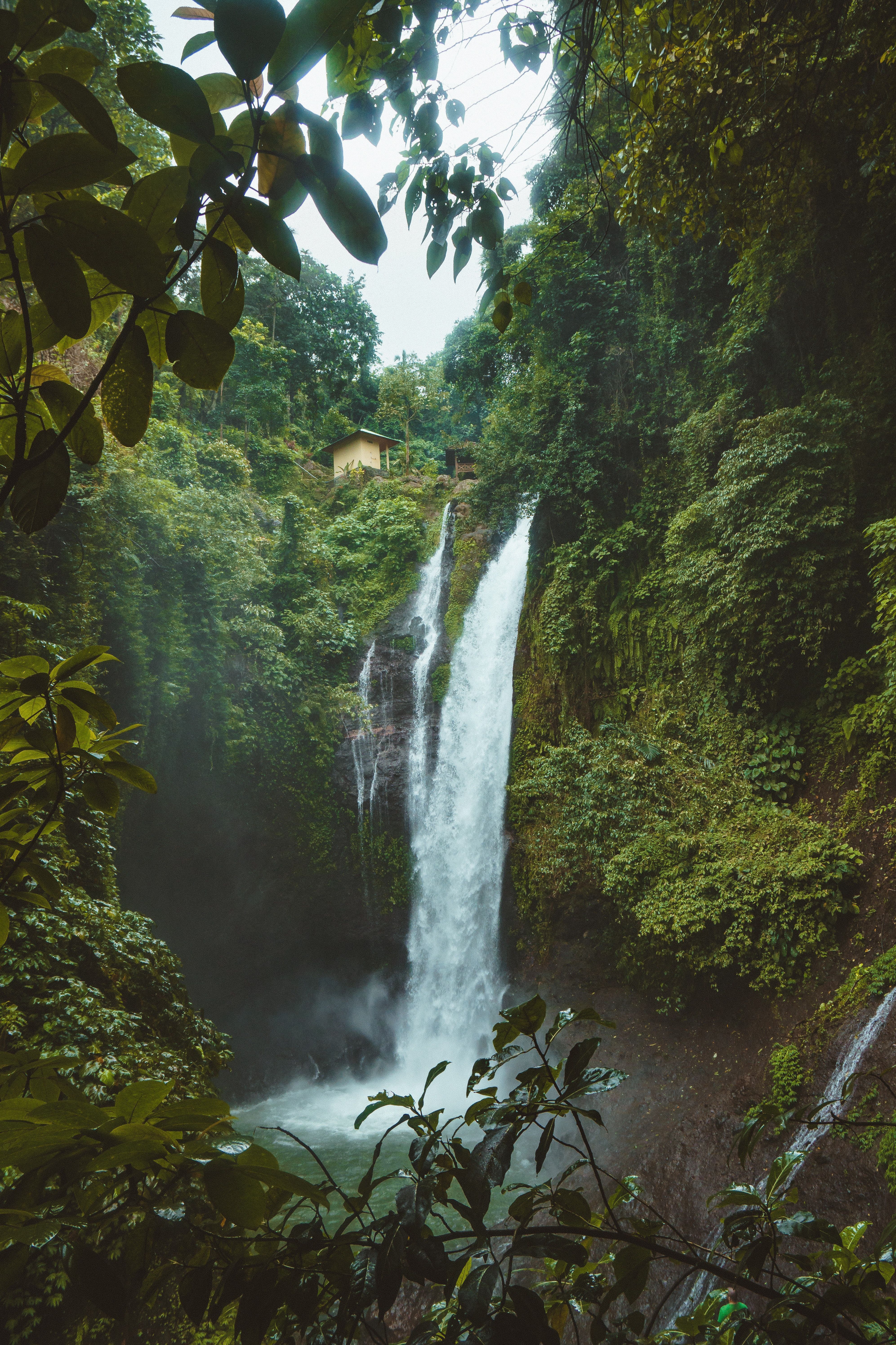 A waterfall surrounded by lush greenery in Bali, Indonesia - Jungle, scenery, waterfall