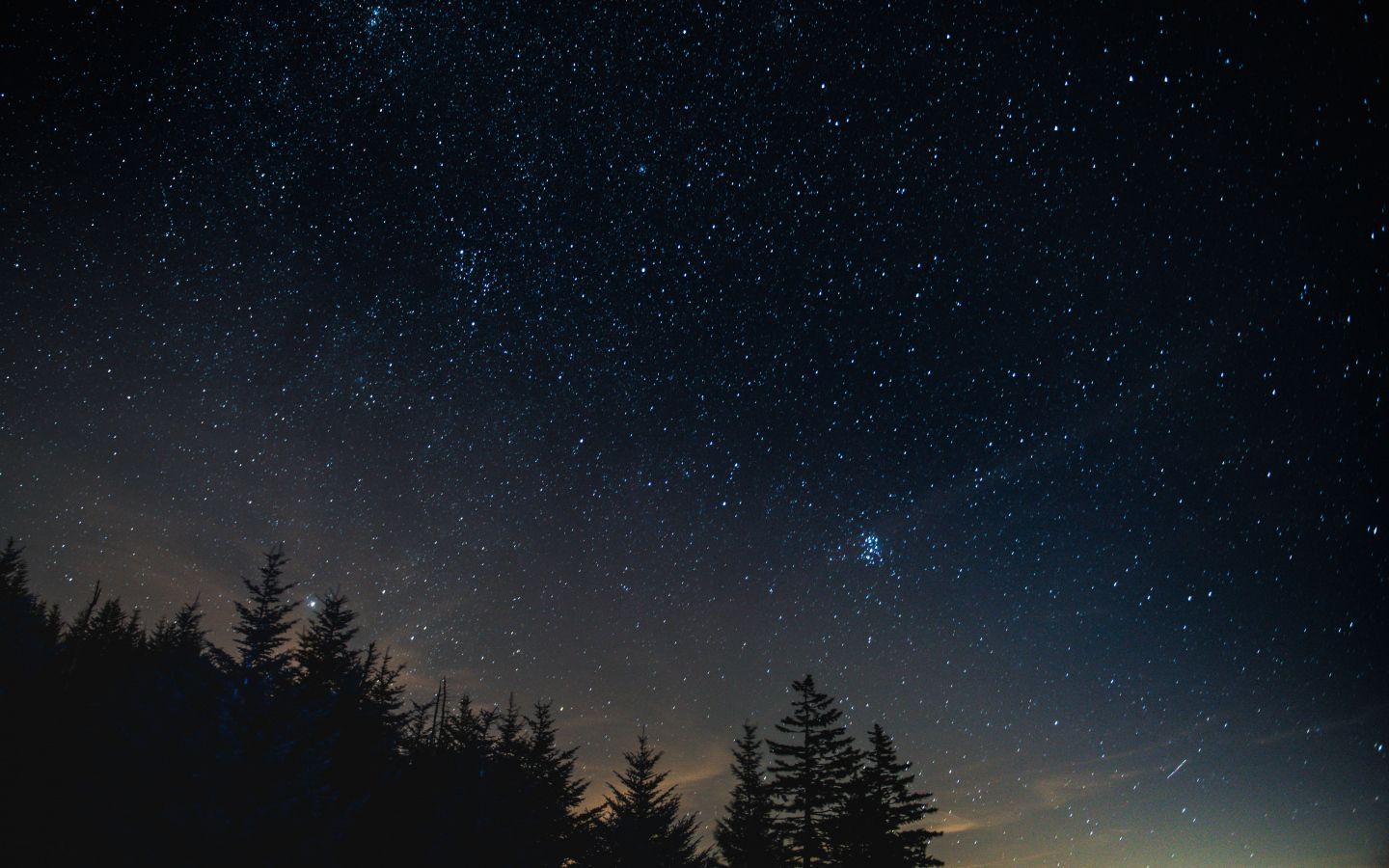 Wallpaper starry sky, night, trees, night landscape. Night landscape, Starry sky, Sky landscape