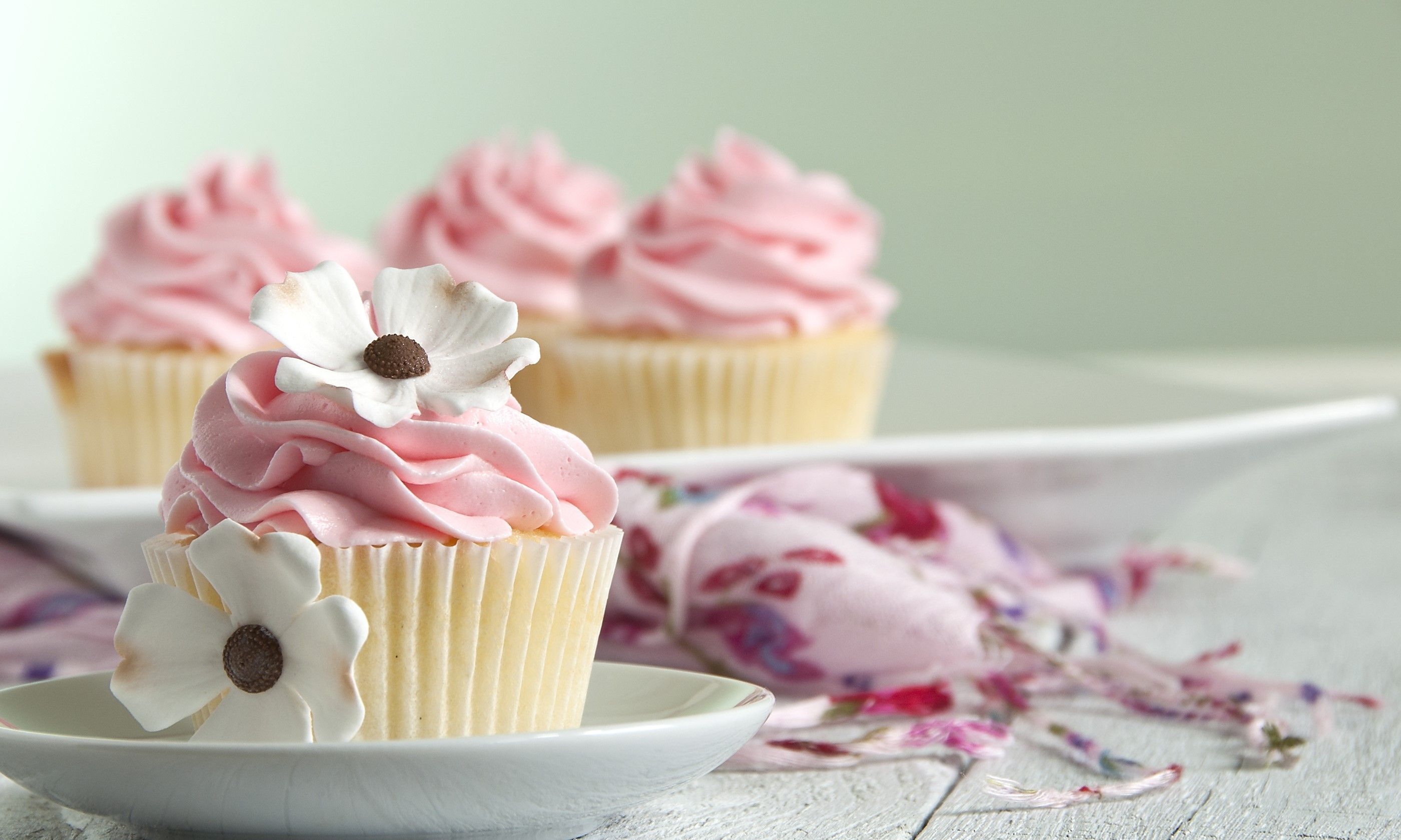 A plate of cupcakes with pink frosting and white flowers. - Cake, cupcakes