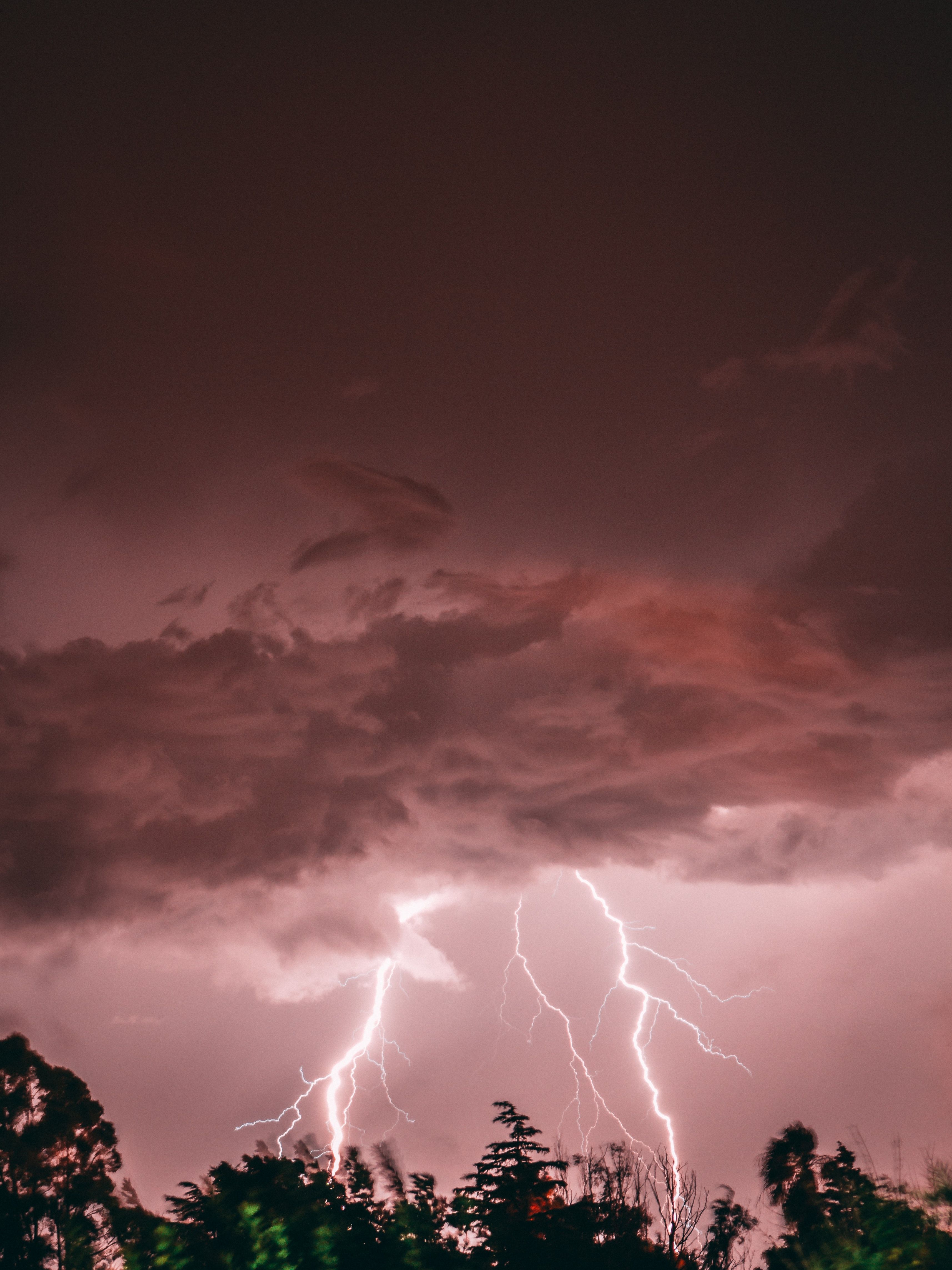 Mobile wallpaper: Lightning, Trees, Nature, Pink, Storm, Thunderstorm, 107511 download the picture for free