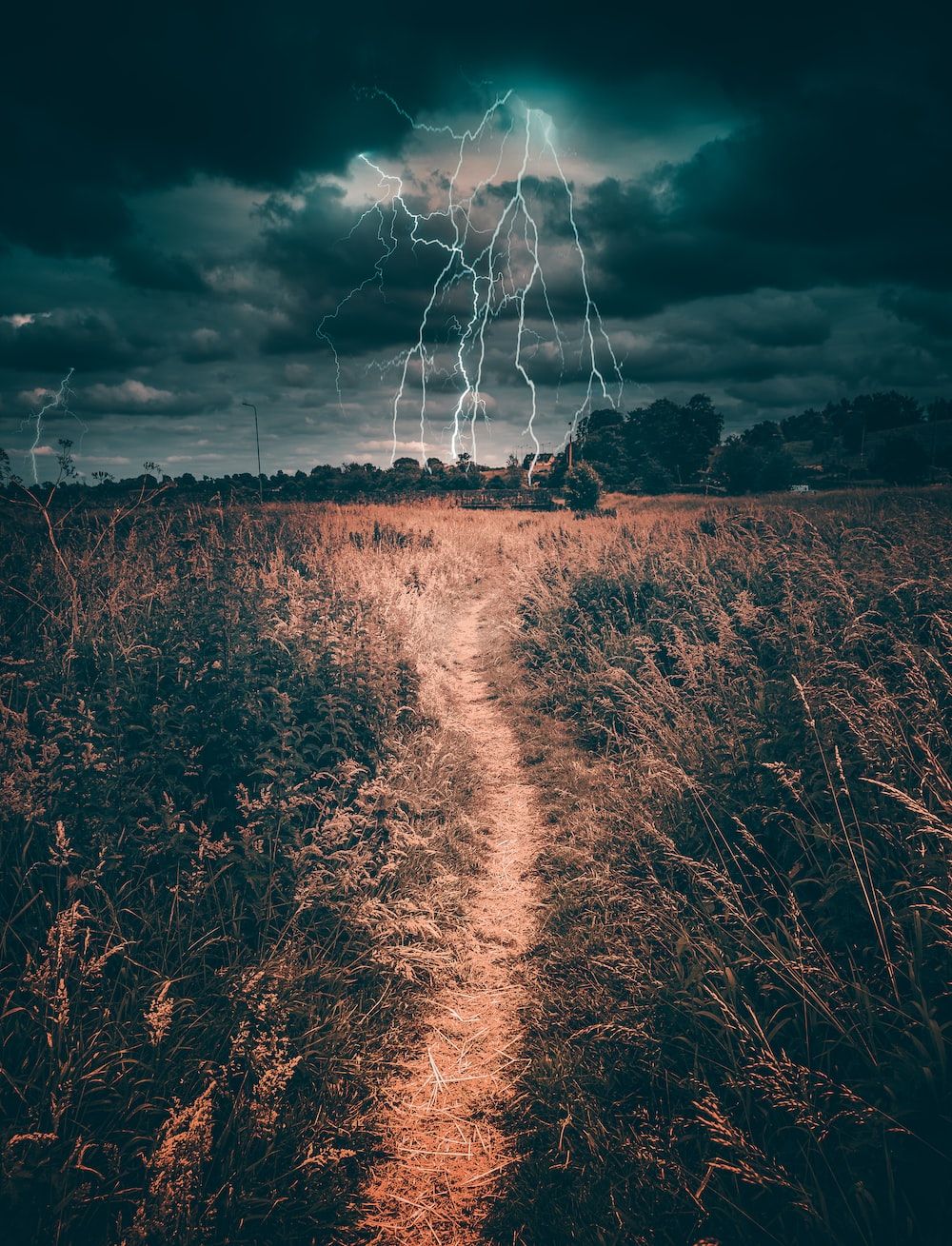 Lightning over a field - Storm