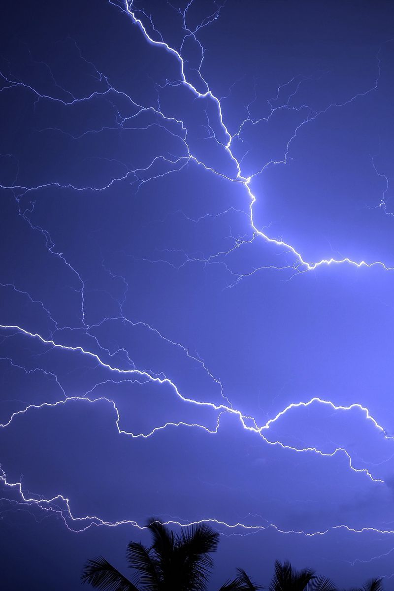 Download Wallpaper 800x1200 Lightning, Storm, Palm, Sky Iphone 4s 4 For Parallax HD Background