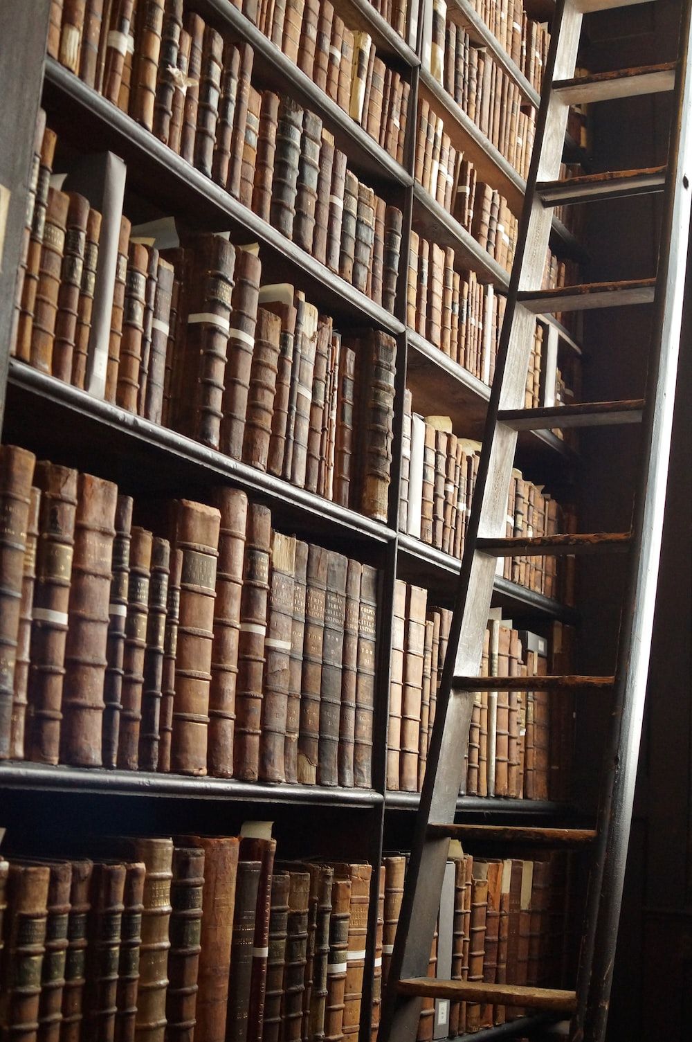 library shelf near black wooden ladder photo