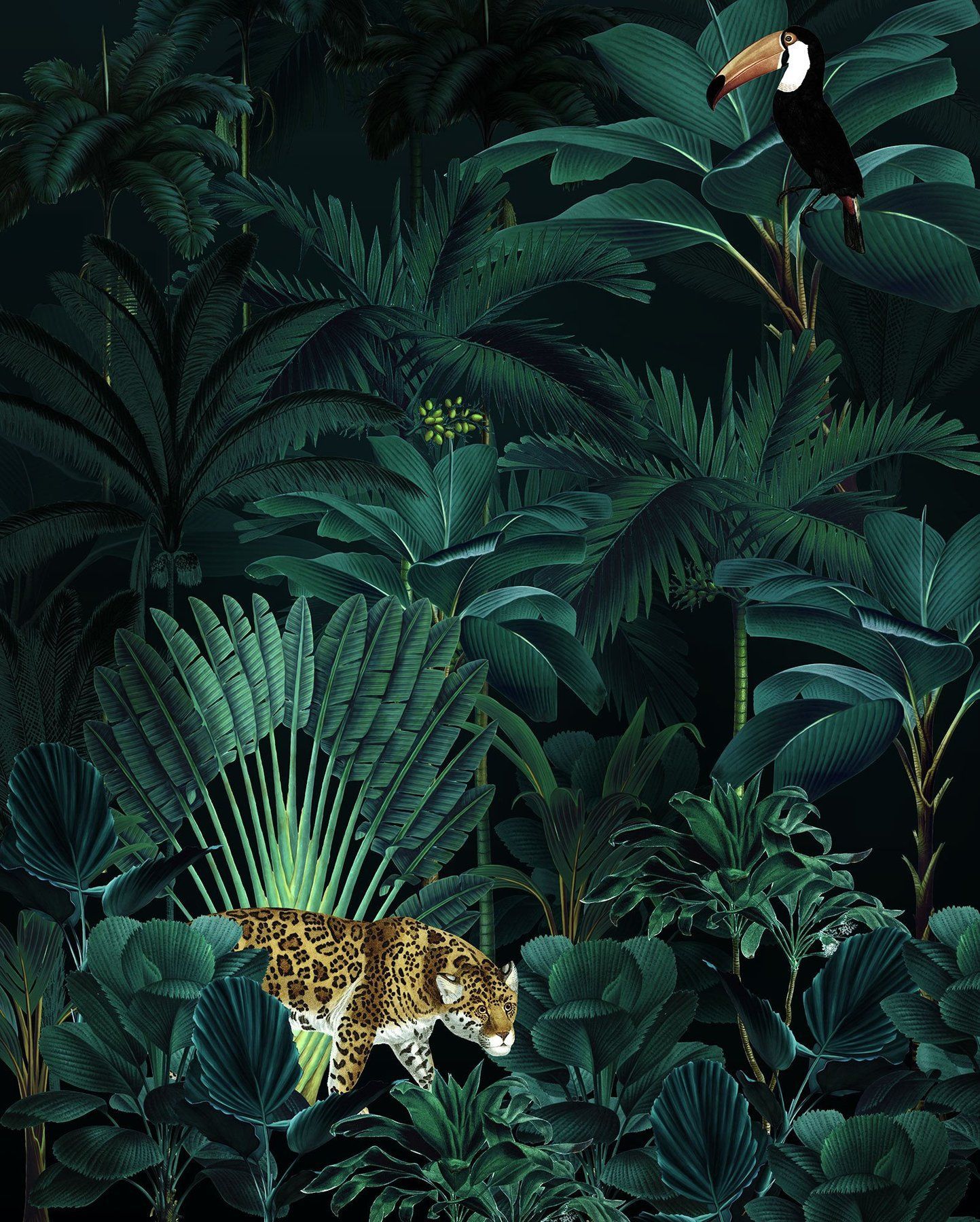A wallpaper featuring a leopard and toucan in a dark green jungle - Jungle