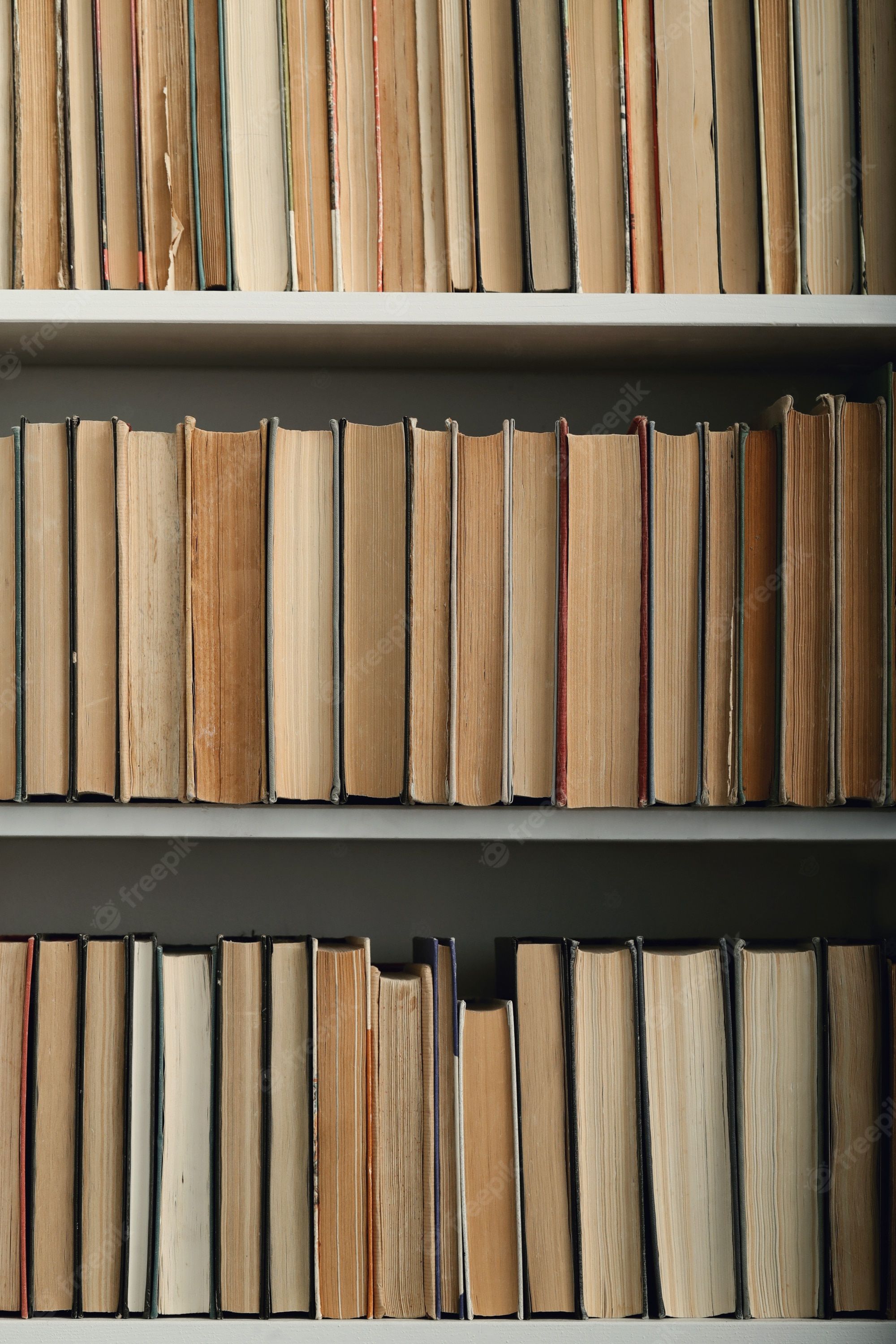 Books on a shelf in a library - Bookshelf