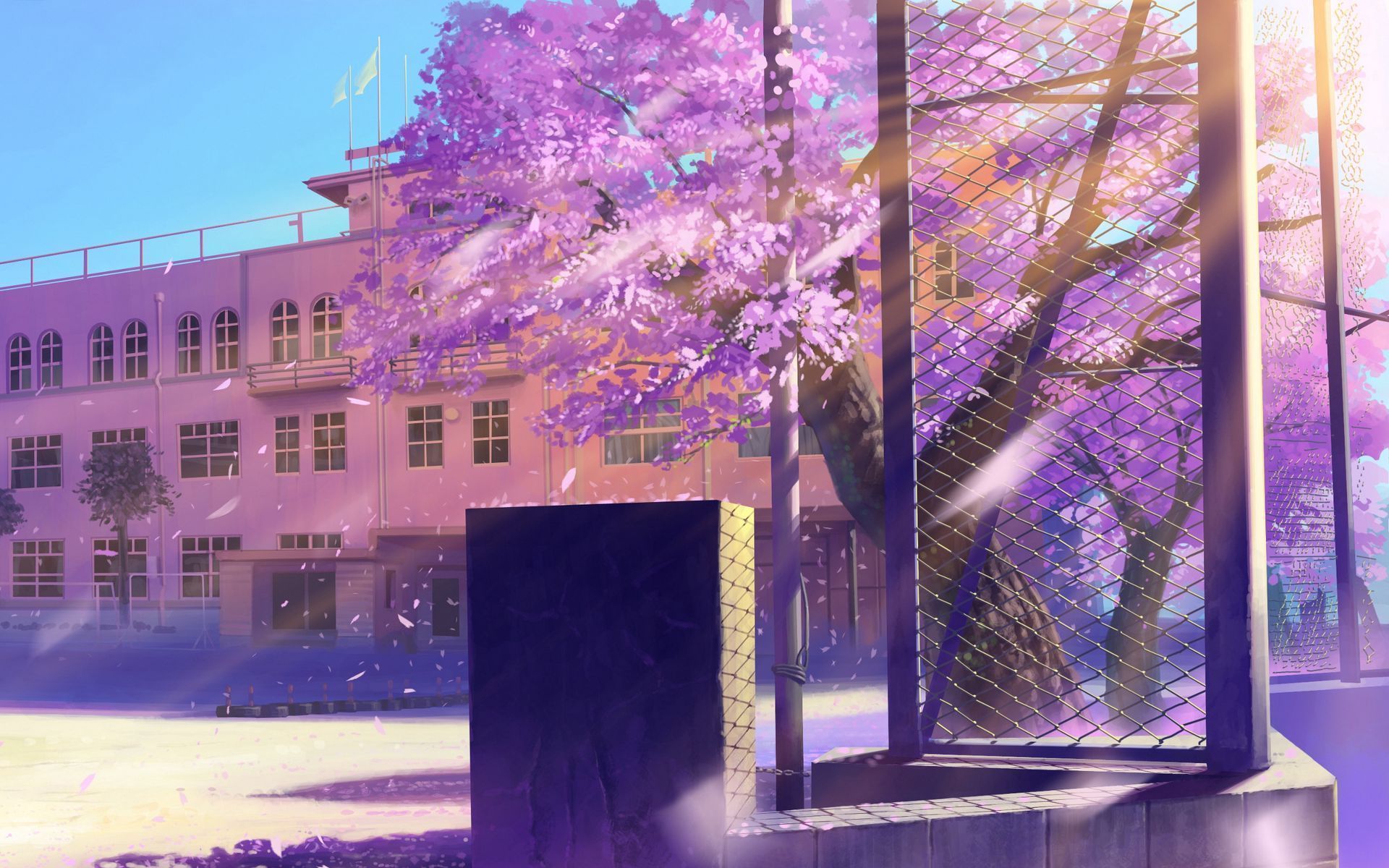 A still from the anime film '5 Centimeters Per Second' showing a tree in blossom in front of a school building - 1920x1200, school