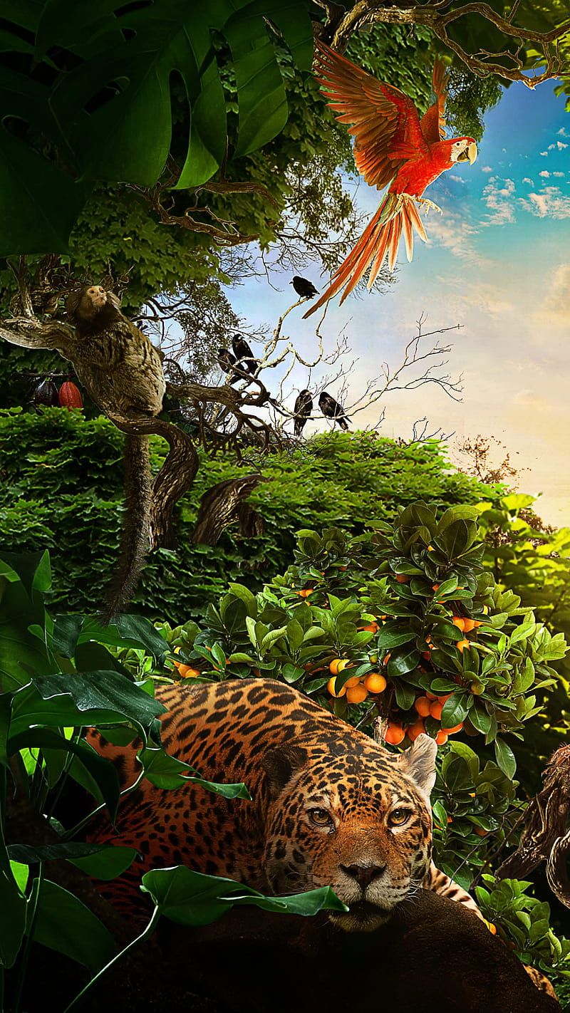 A jungle scene with animals and trees - Jungle